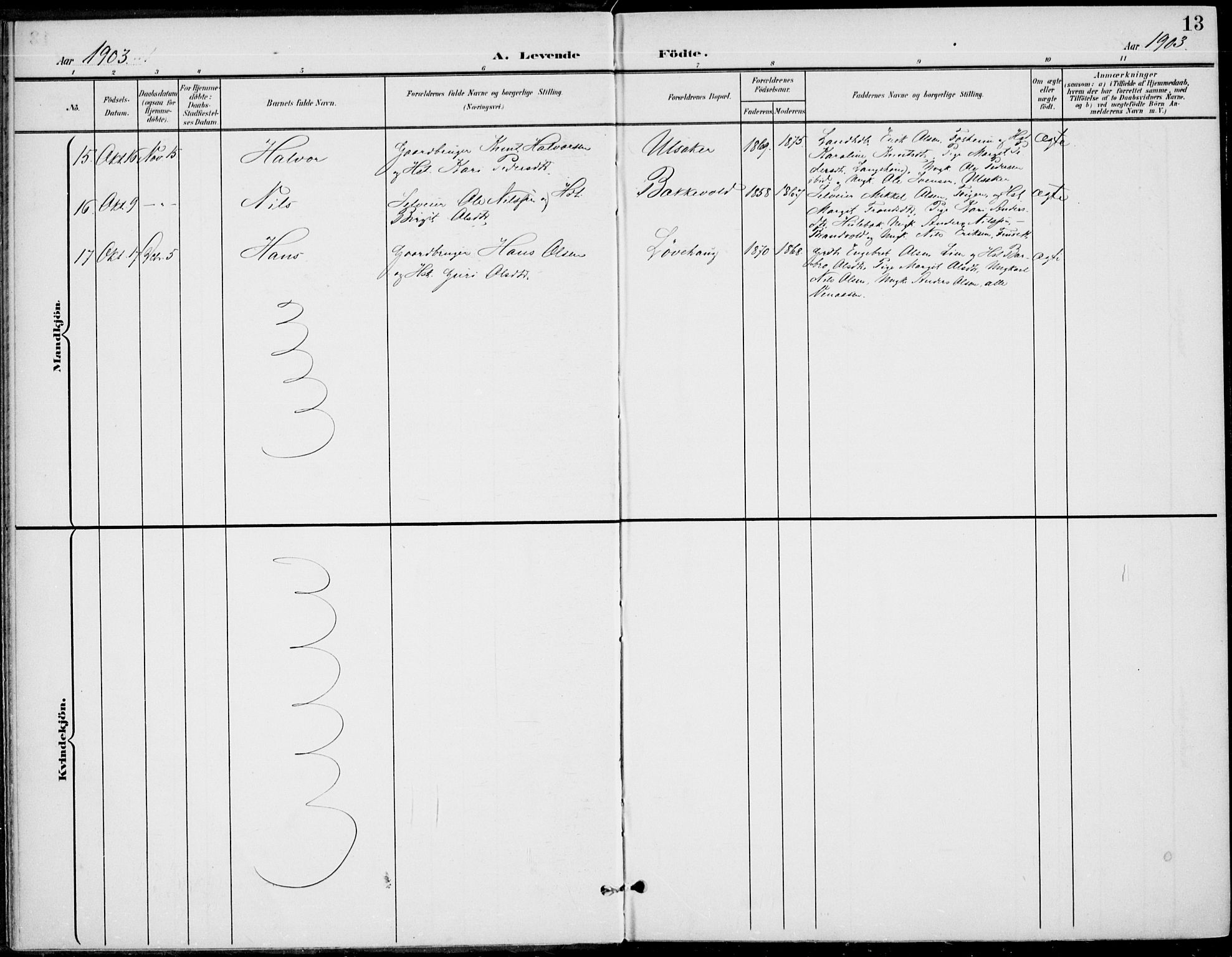 Gol kirkebøker, AV/SAKO-A-226/F/Fb/L0002: Parish register (official) no. II 2, 1900-1921, p. 13