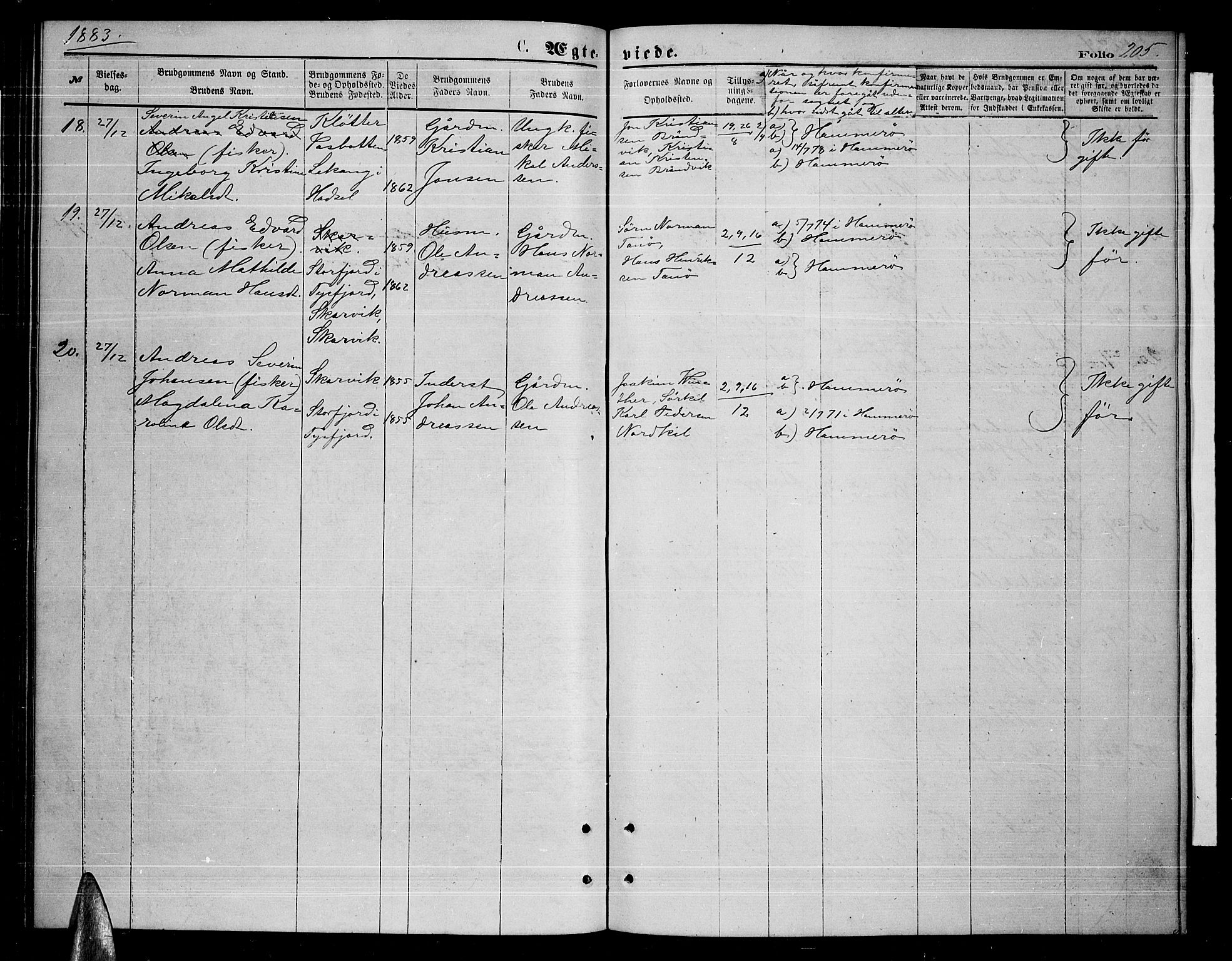 Ministerialprotokoller, klokkerbøker og fødselsregistre - Nordland, AV/SAT-A-1459/859/L0858: Parish register (copy) no. 859C04, 1873-1886, p. 205