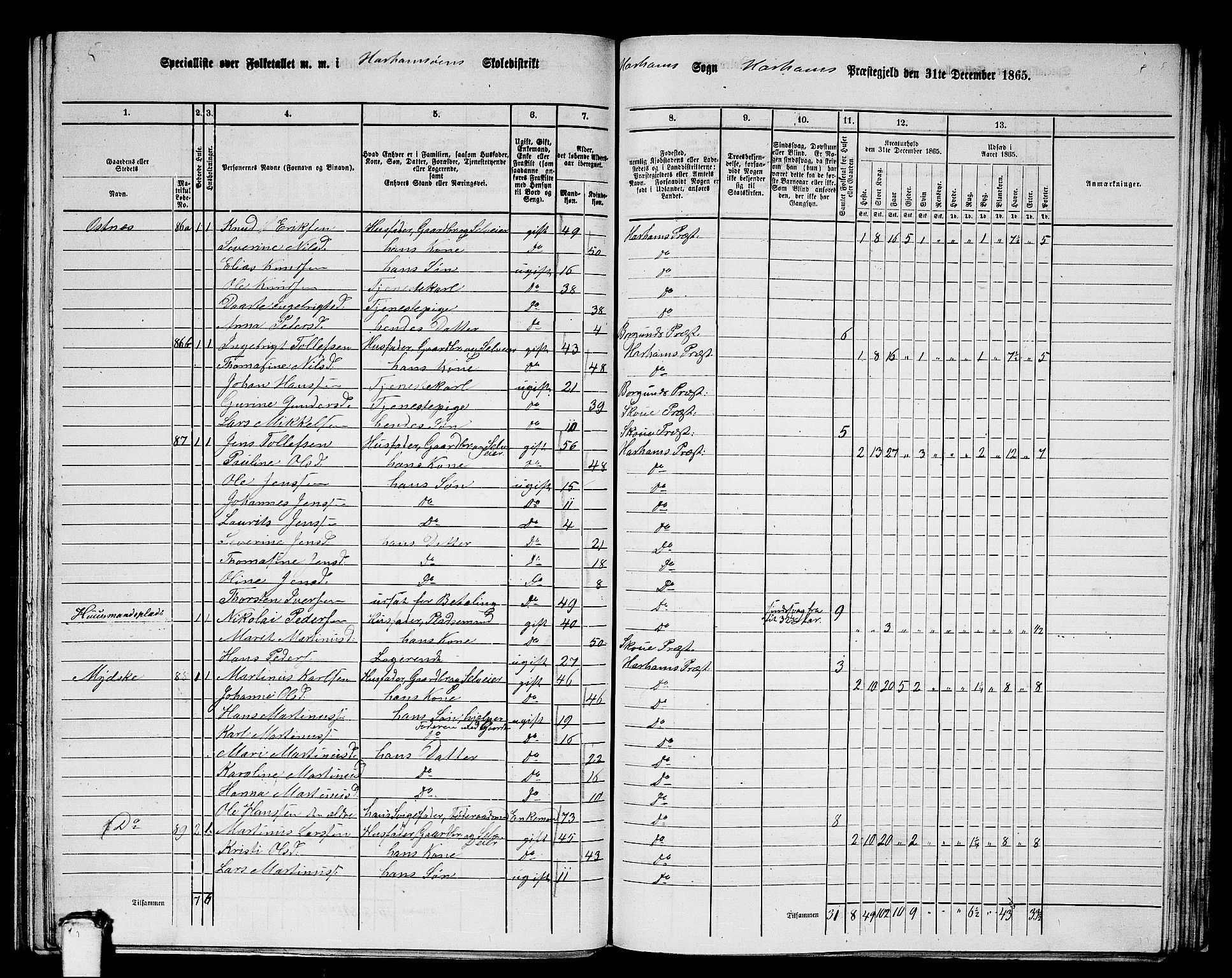 RA, 1865 census for Haram, 1865, p. 44