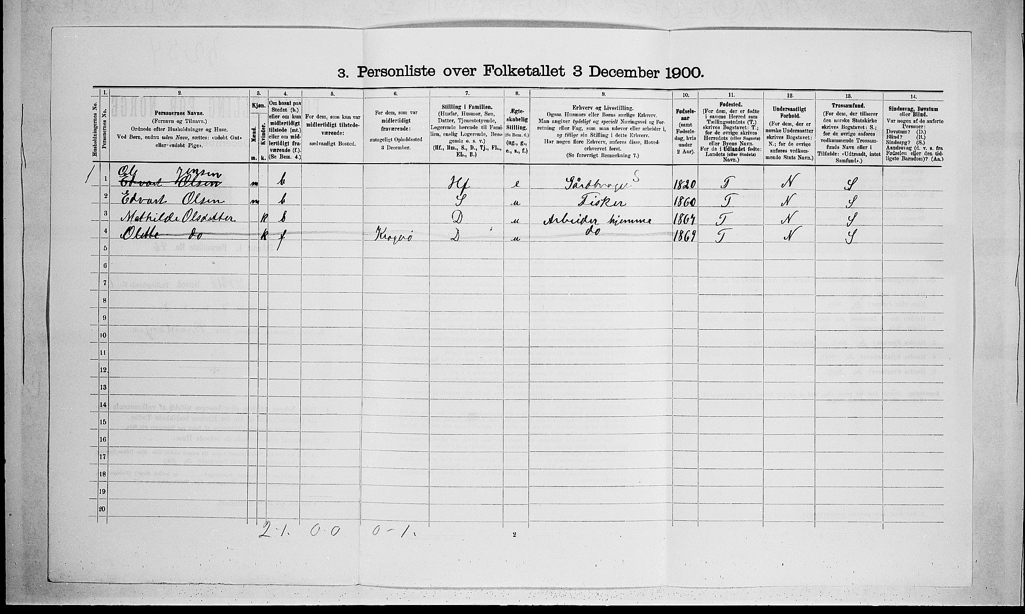 SAKO, 1900 census for Skåtøy, 1900, p. 195