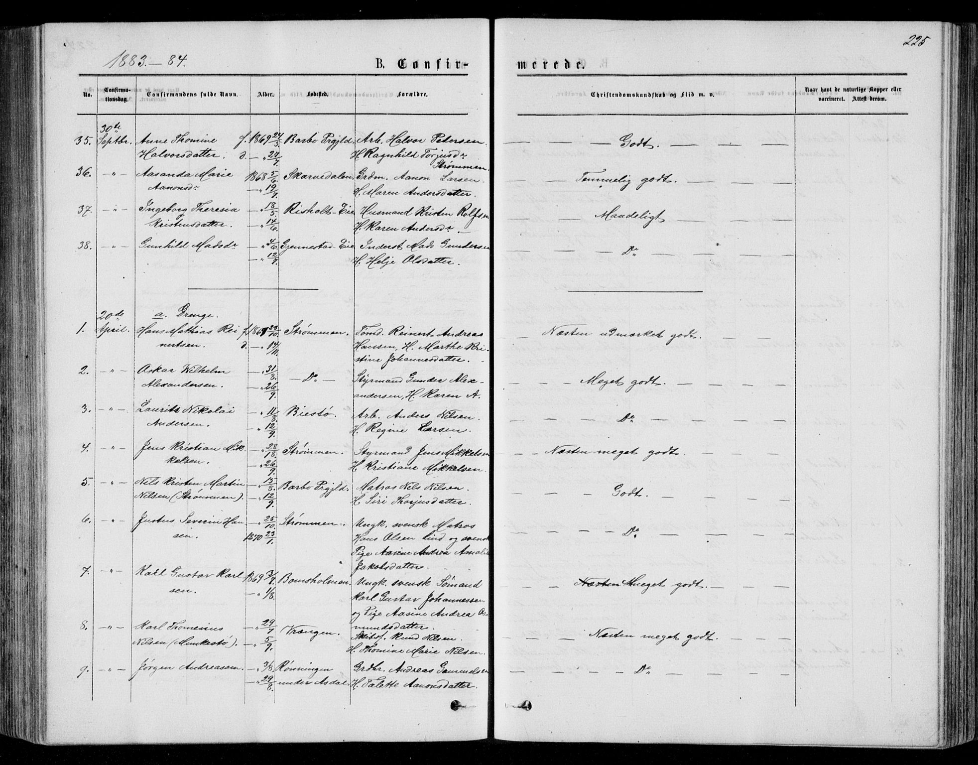 Øyestad sokneprestkontor, SAK/1111-0049/F/Fb/L0008: Parish register (copy) no. B 8, 1872-1886, p. 225