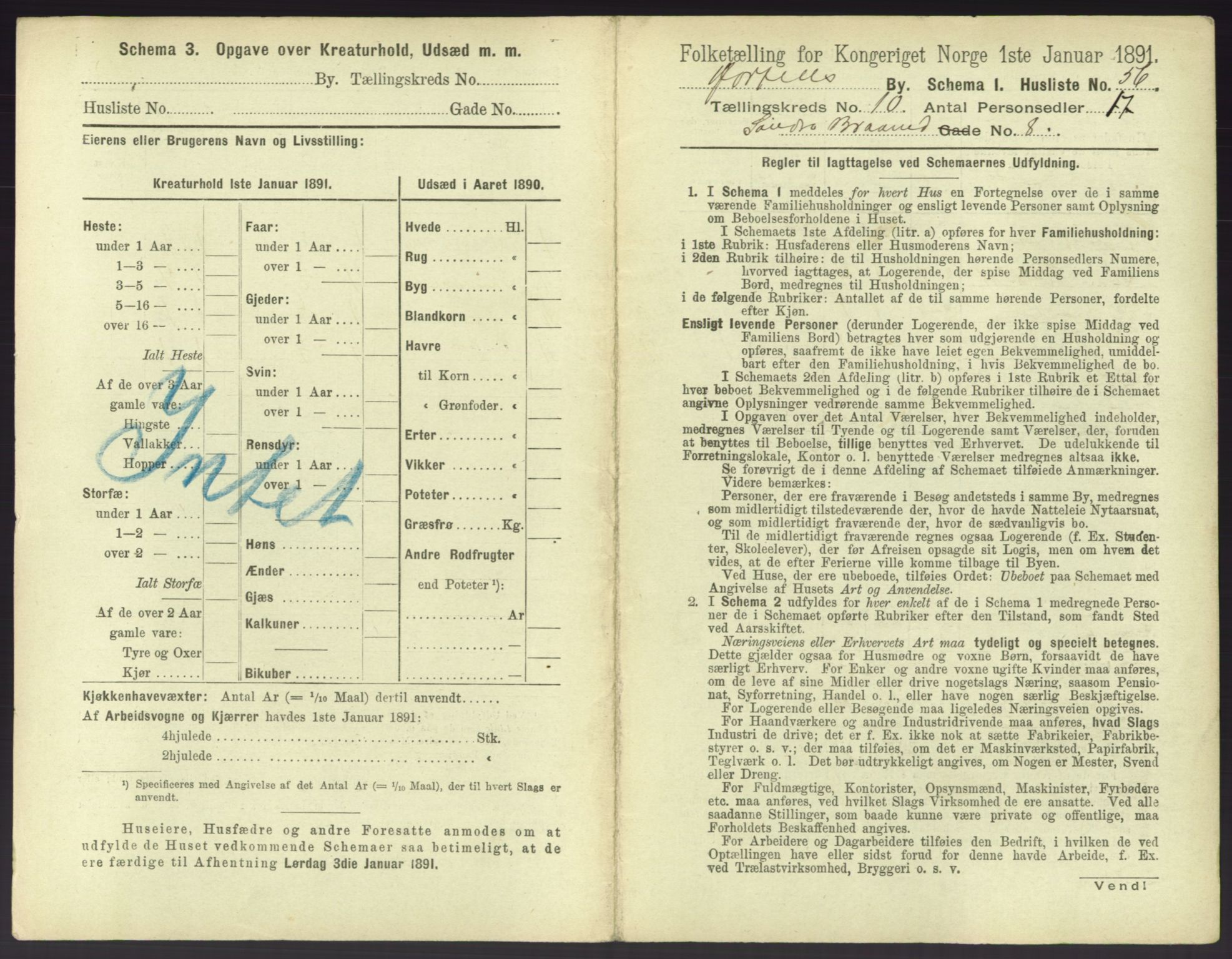 RA, 1891 census for 0703 Horten, 1891, p. 1155