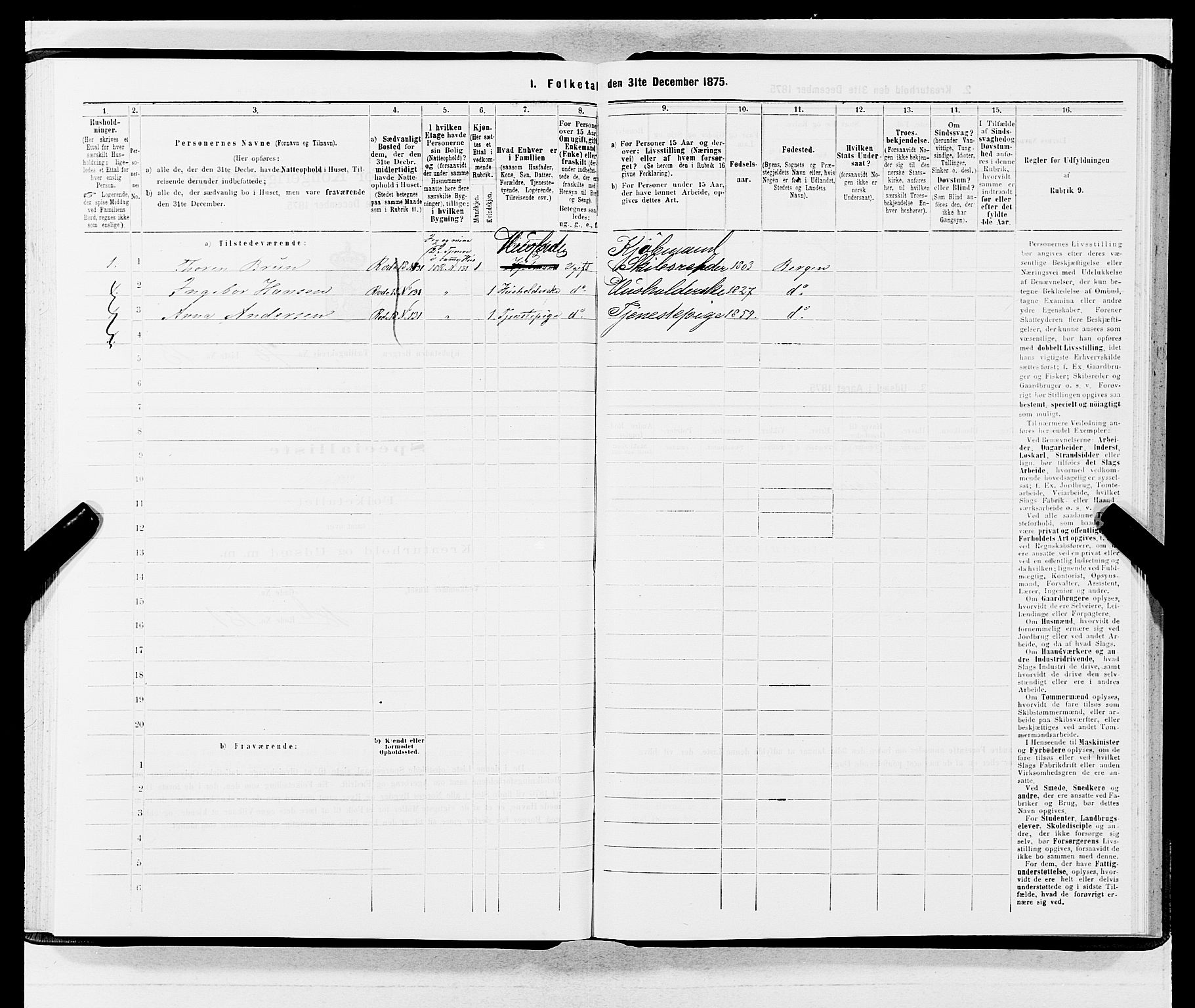 SAB, 1875 census for 1301 Bergen, 1875, p. 4205