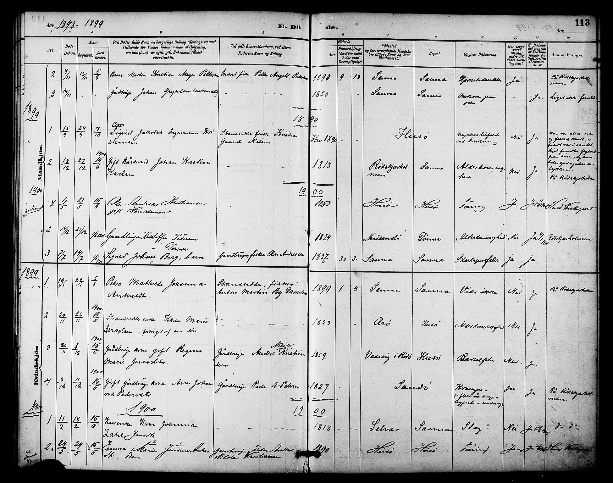 Ministerialprotokoller, klokkerbøker og fødselsregistre - Nordland, SAT/A-1459/840/L0580: Parish register (official) no. 840A02, 1887-1909, p. 113