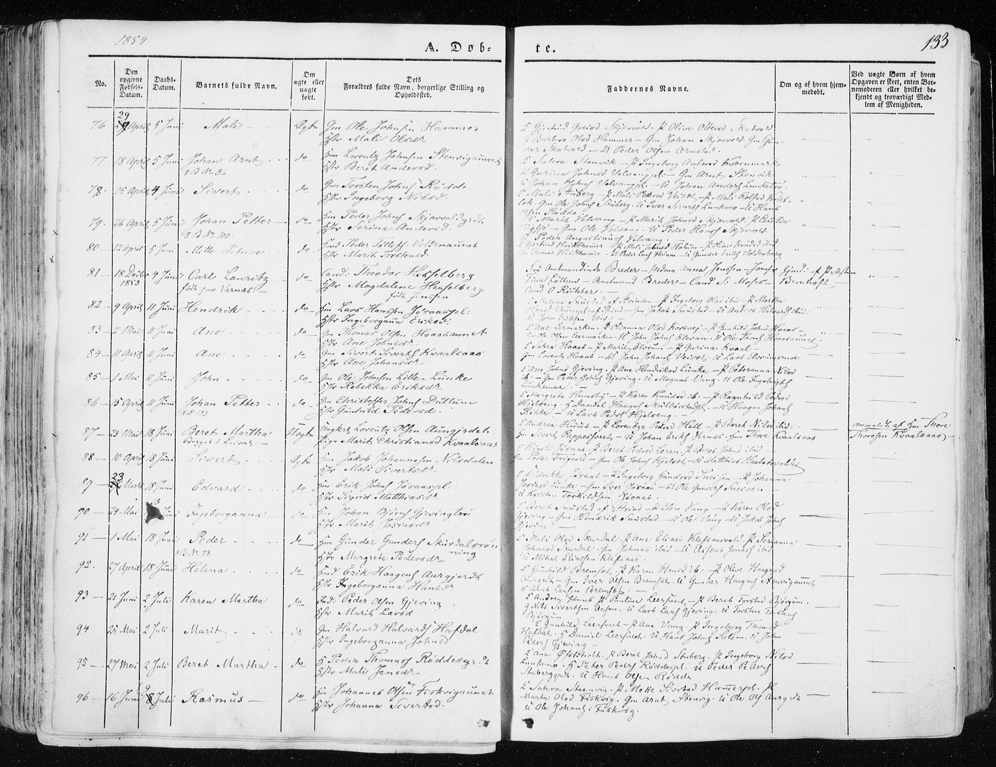 Ministerialprotokoller, klokkerbøker og fødselsregistre - Nord-Trøndelag, AV/SAT-A-1458/709/L0074: Parish register (official) no. 709A14, 1845-1858, p. 133