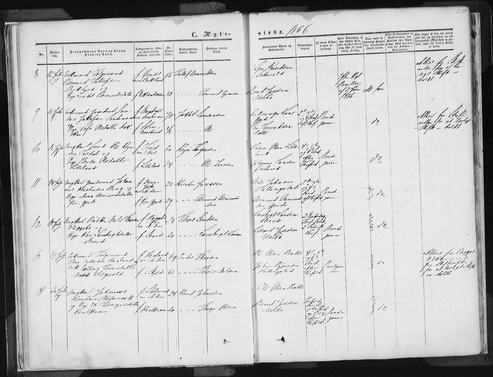 Vikedal sokneprestkontor, AV/SAST-A-101840/01/IV: Parish register (official) no. A 6.2, 1851-1867, p. 255