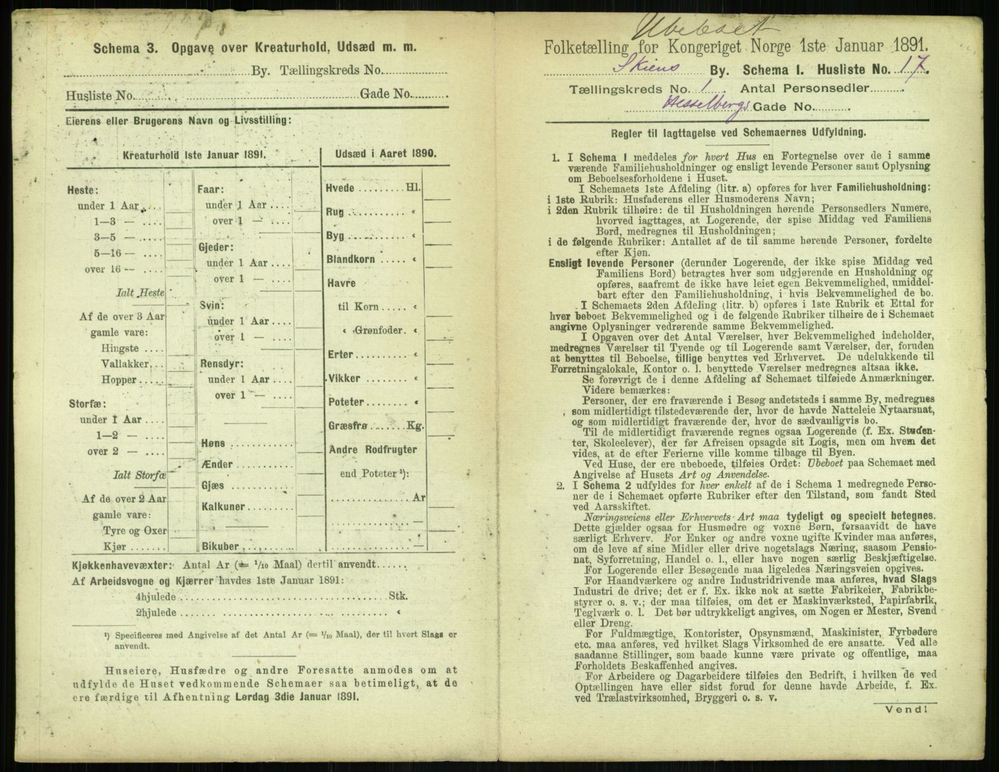 RA, 1891 census for 0806 Skien, 1891, p. 144