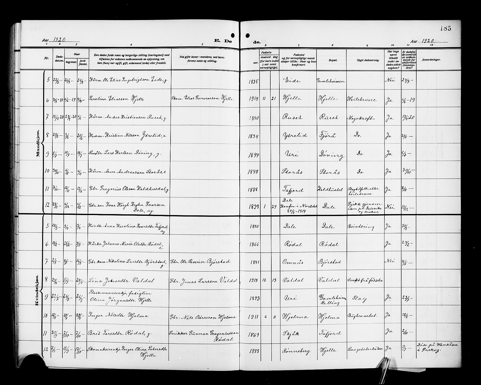 Ministerialprotokoller, klokkerbøker og fødselsregistre - Møre og Romsdal, AV/SAT-A-1454/519/L0265: Parish register (copy) no. 519C06, 1911-1921, p. 185