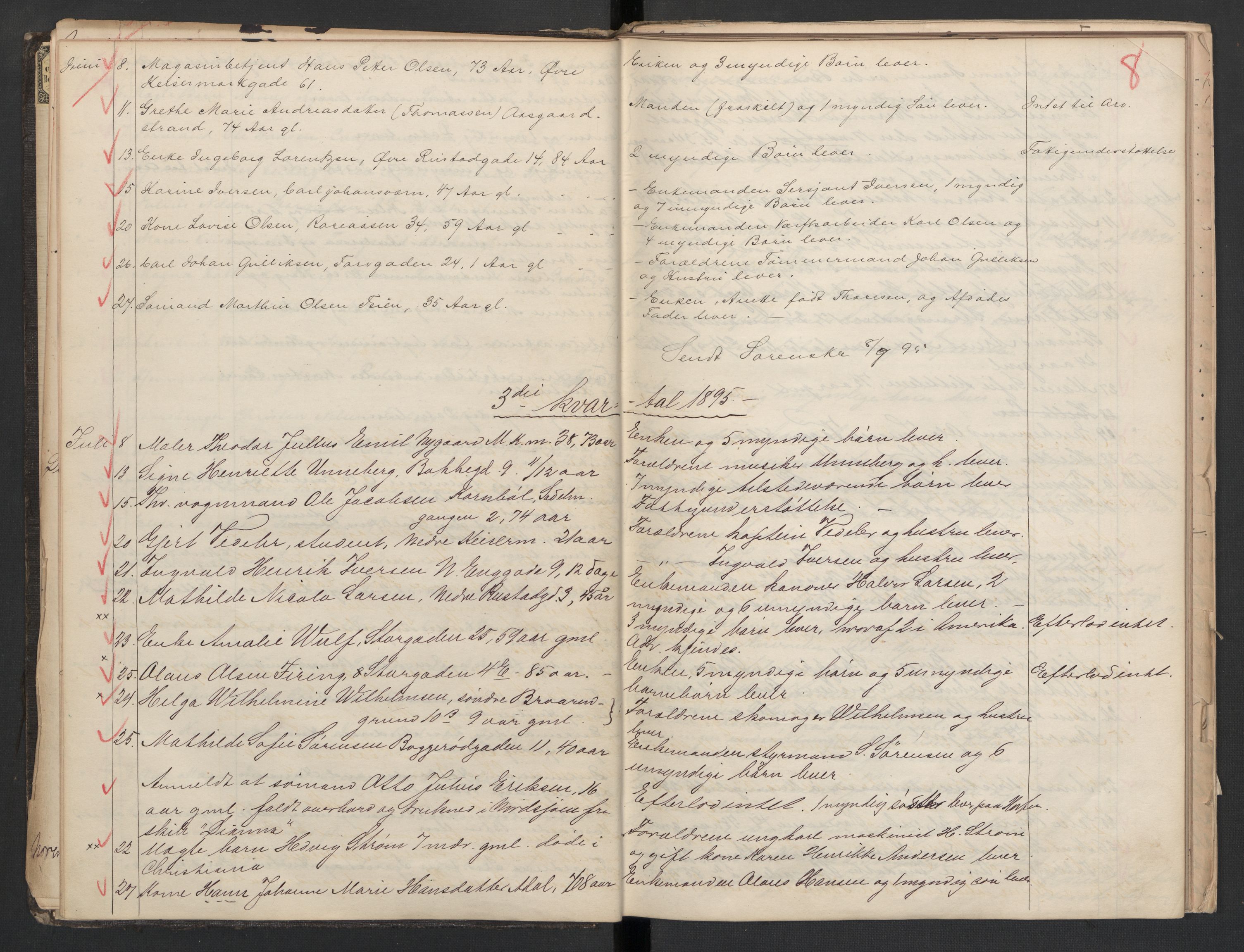 Borre lensmannskontor, AV/SAKO-A-533/H/Ha/L0003: Dødsfallsprotokoll, 1894-1902, p. 8