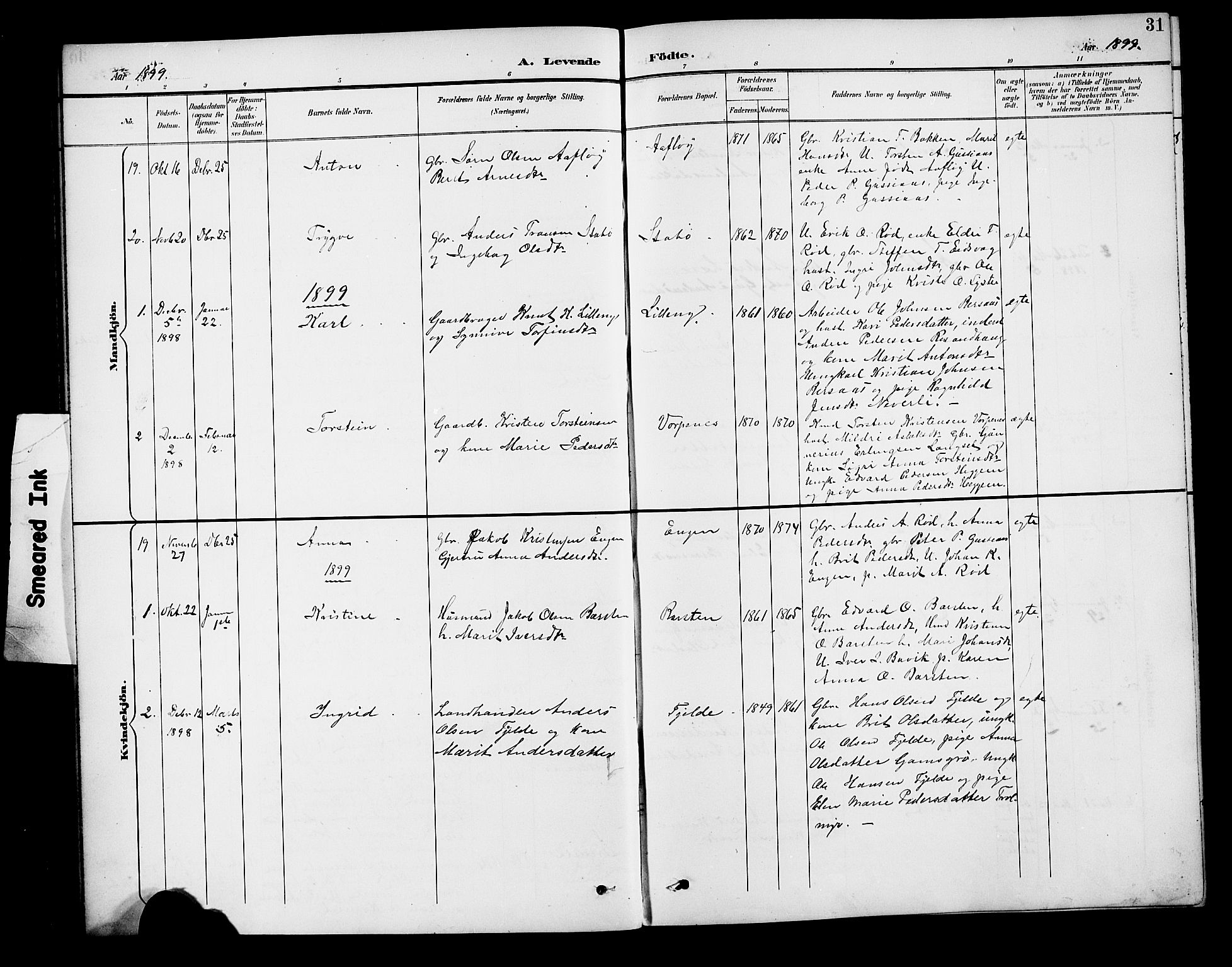 Ministerialprotokoller, klokkerbøker og fødselsregistre - Møre og Romsdal, AV/SAT-A-1454/551/L0632: Parish register (copy) no. 551C04, 1894-1920, p. 31