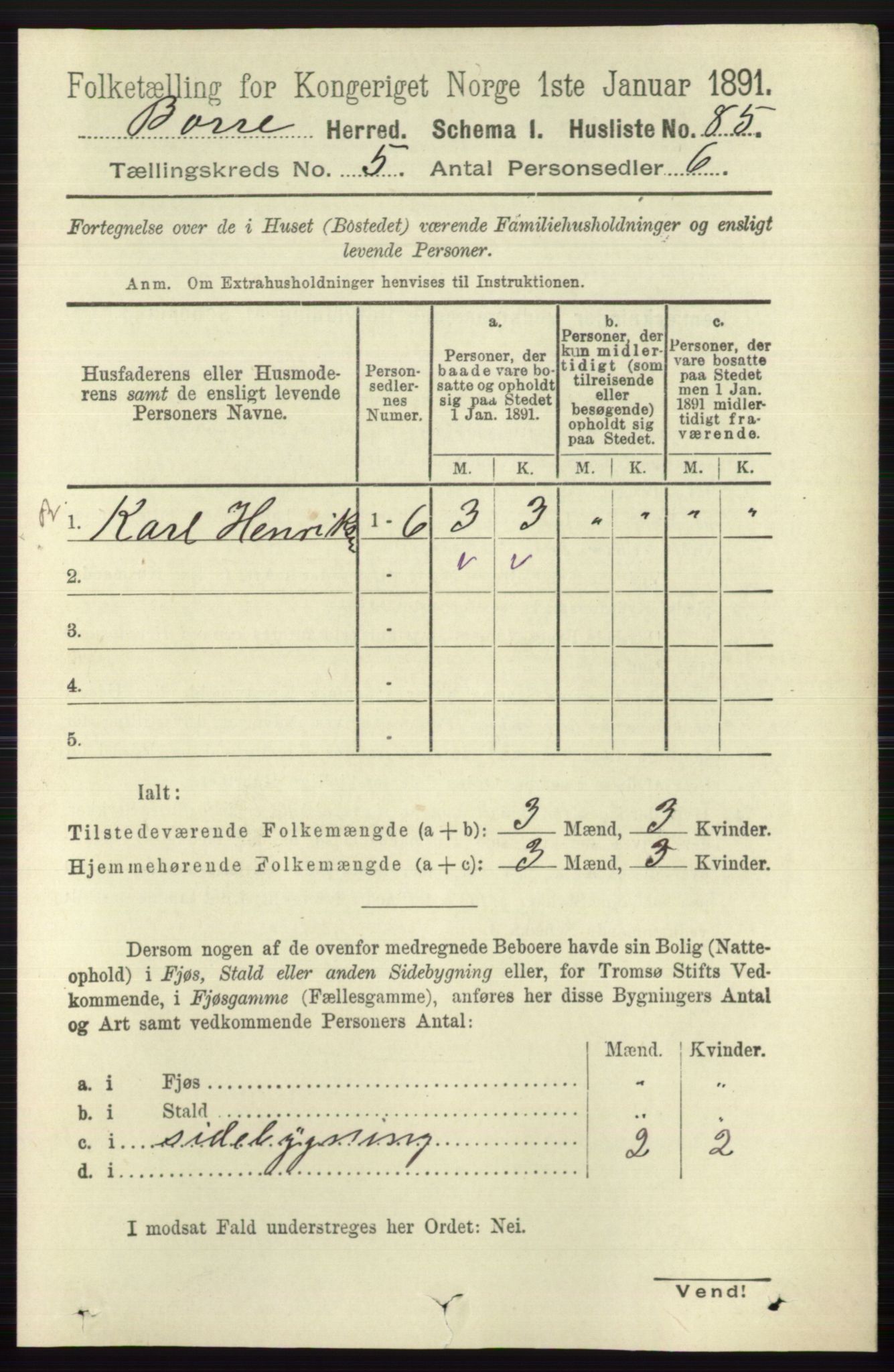 RA, 1891 census for 0717 Borre, 1891, p. 2007