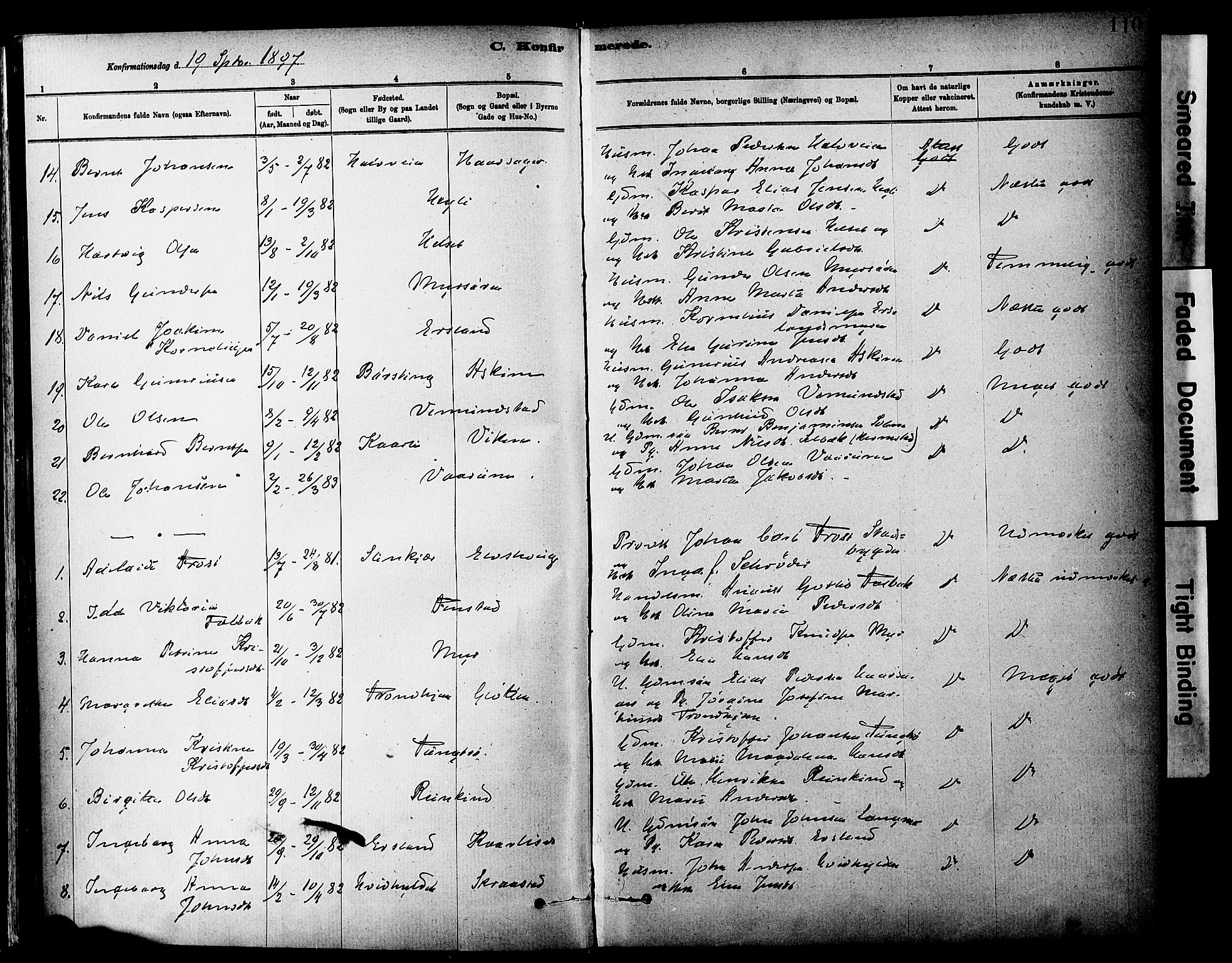 Ministerialprotokoller, klokkerbøker og fødselsregistre - Sør-Trøndelag, SAT/A-1456/646/L0615: Parish register (official) no. 646A13, 1885-1900, p. 110