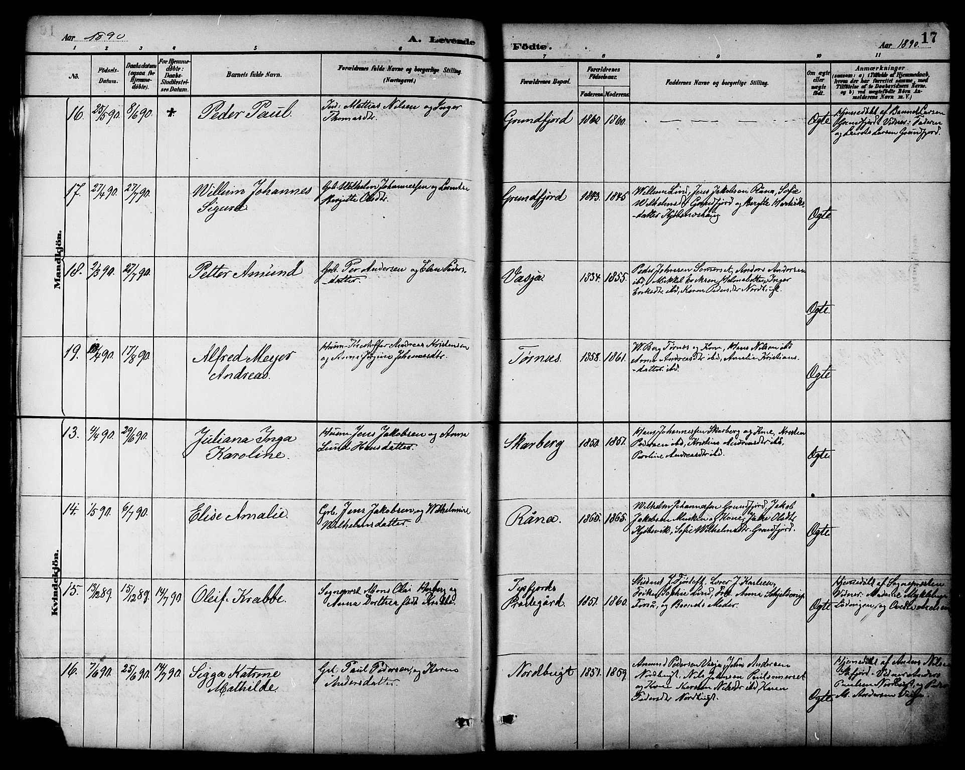 Ministerialprotokoller, klokkerbøker og fødselsregistre - Nordland, AV/SAT-A-1459/861/L0869: Parish register (official) no. 861A04, 1889-1903, p. 17