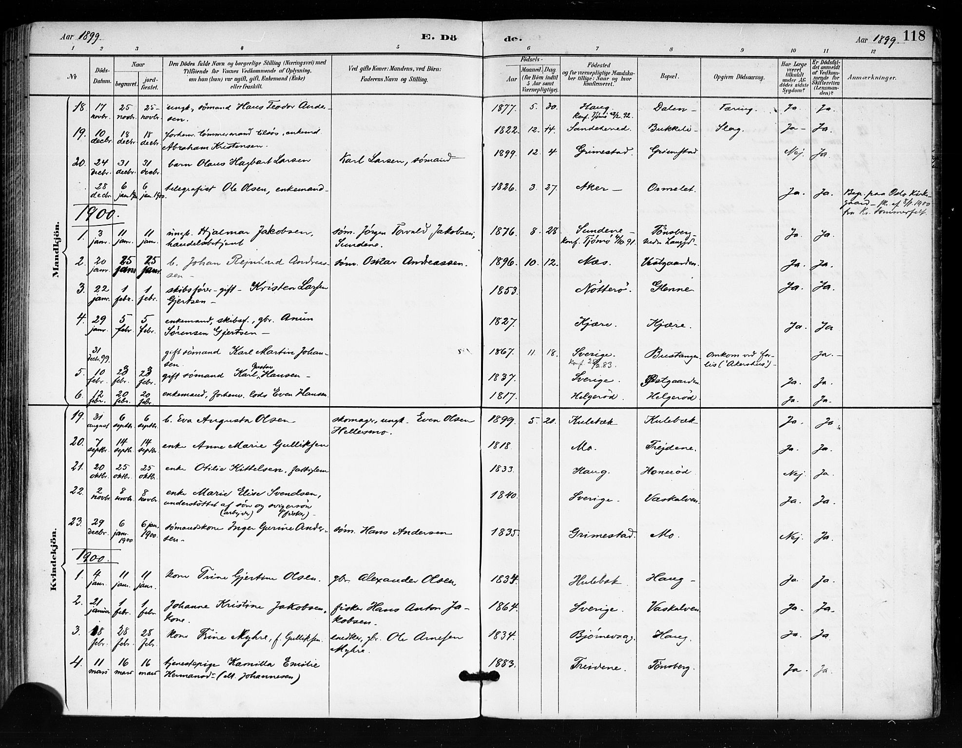 Tjøme kirkebøker, AV/SAKO-A-328/F/Fa/L0003: Parish register (official) no. I 3, 1891-1900, p. 118