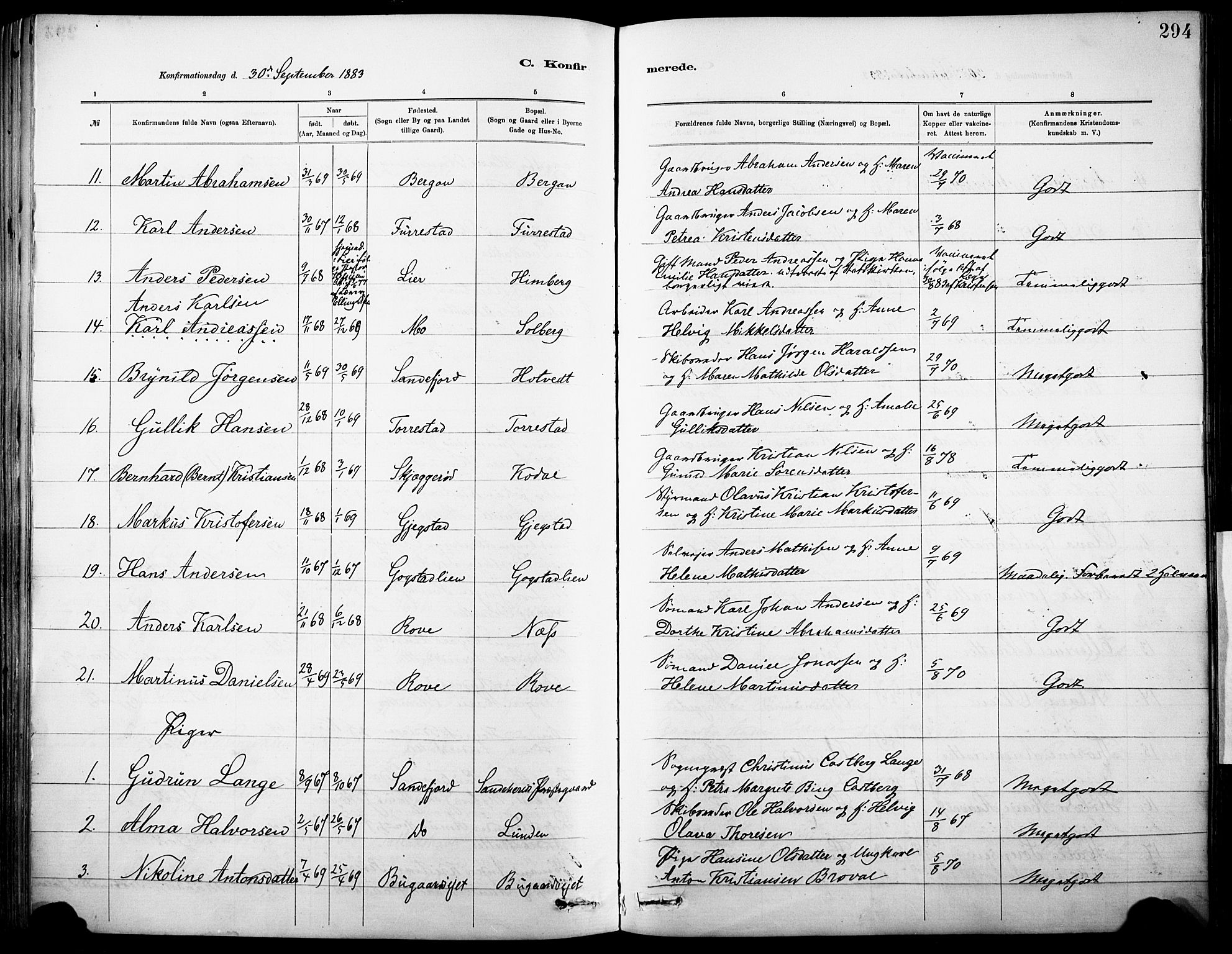 Sandar kirkebøker, AV/SAKO-A-243/F/Fa/L0012: Parish register (official) no. 12, 1883-1895, p. 294