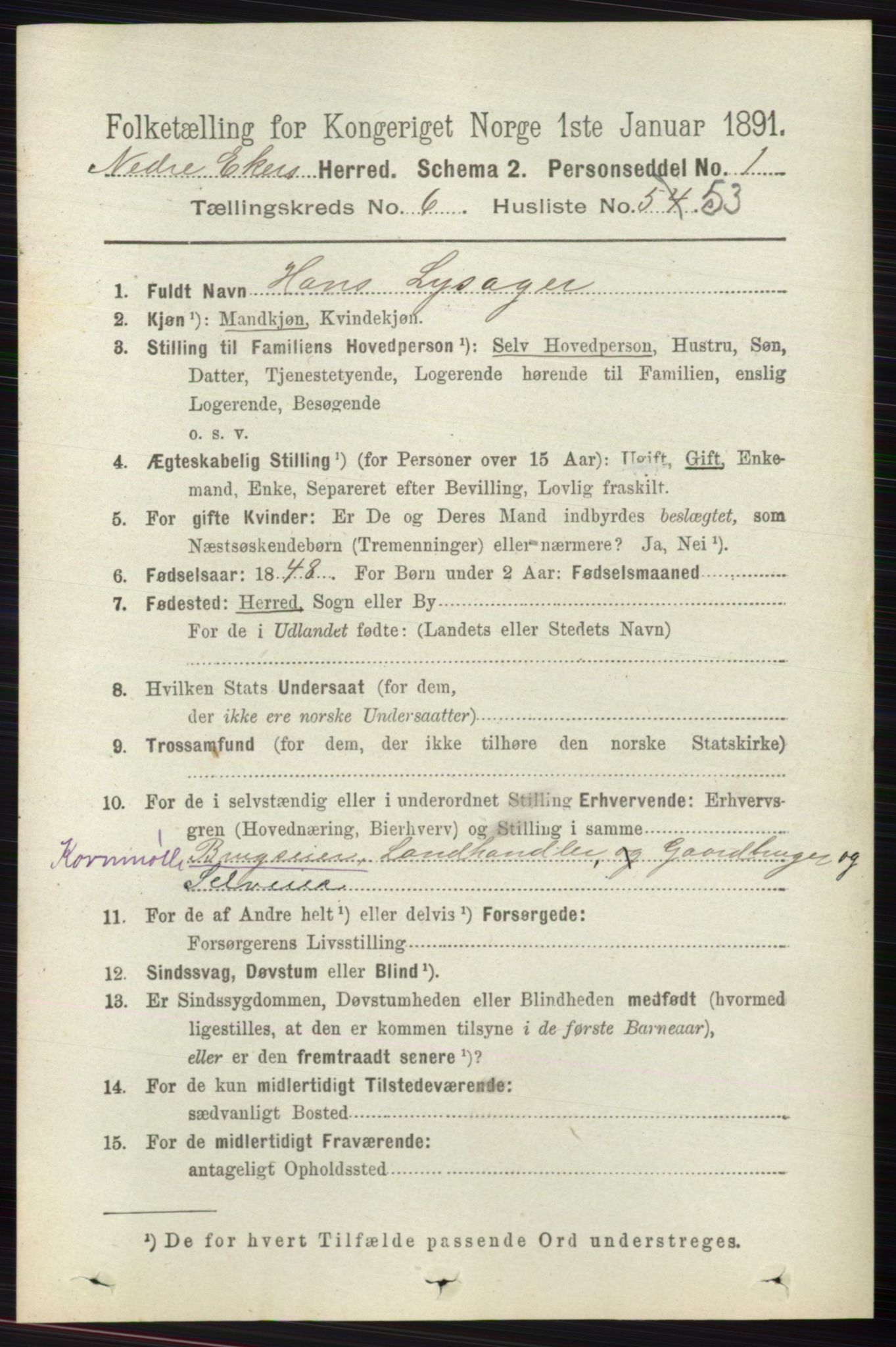 RA, 1891 census for 0625 Nedre Eiker, 1891, p. 3161