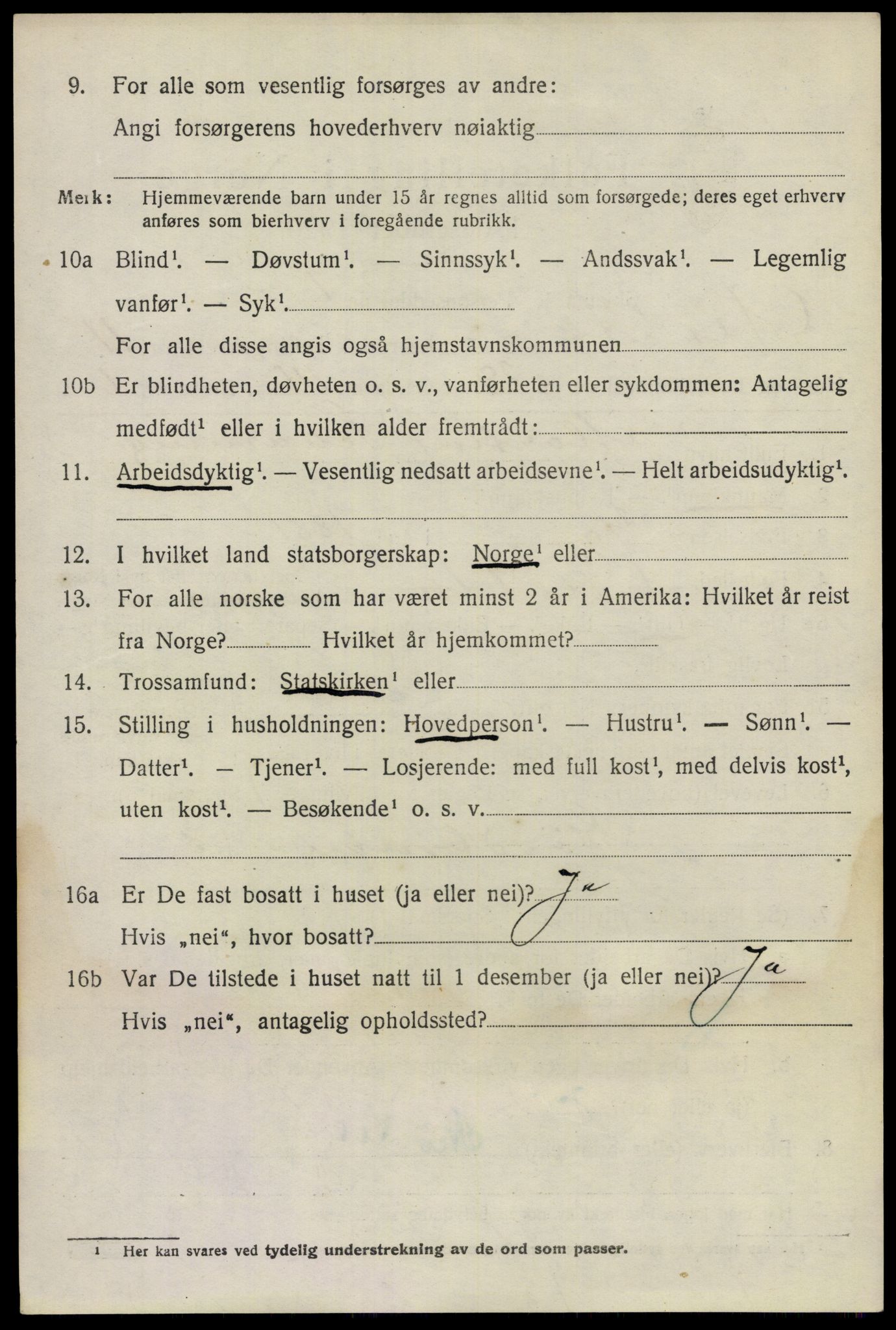 SAO, 1920 census for Nes, 1920, p. 11723