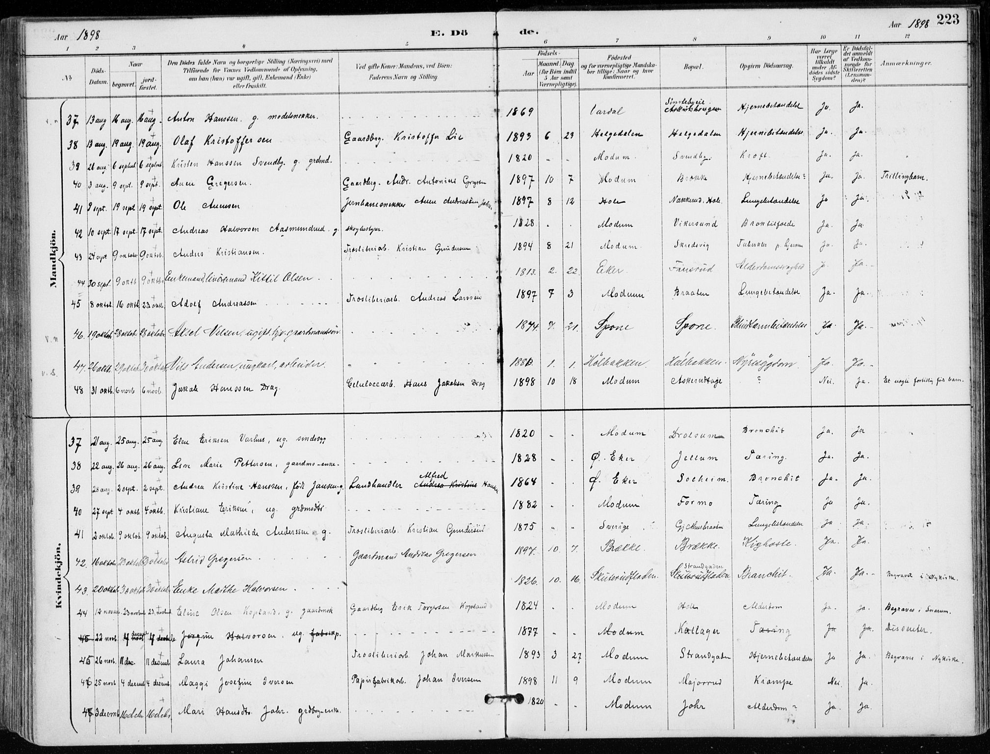 Modum kirkebøker, AV/SAKO-A-234/F/Fa/L0012: Parish register (official) no. 12, 1890-1898, p. 223