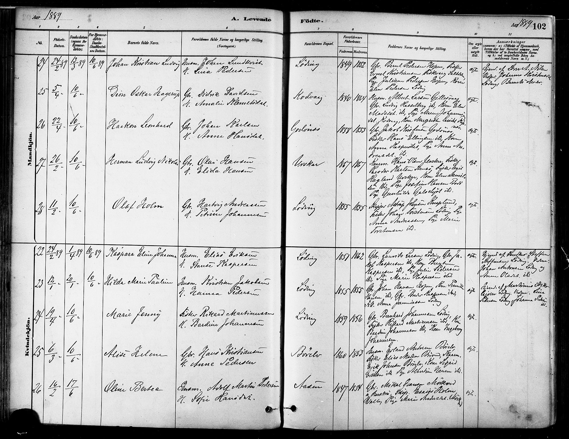 Ministerialprotokoller, klokkerbøker og fødselsregistre - Nordland, AV/SAT-A-1459/802/L0054: Parish register (official) no. 802A01, 1879-1893, p. 102
