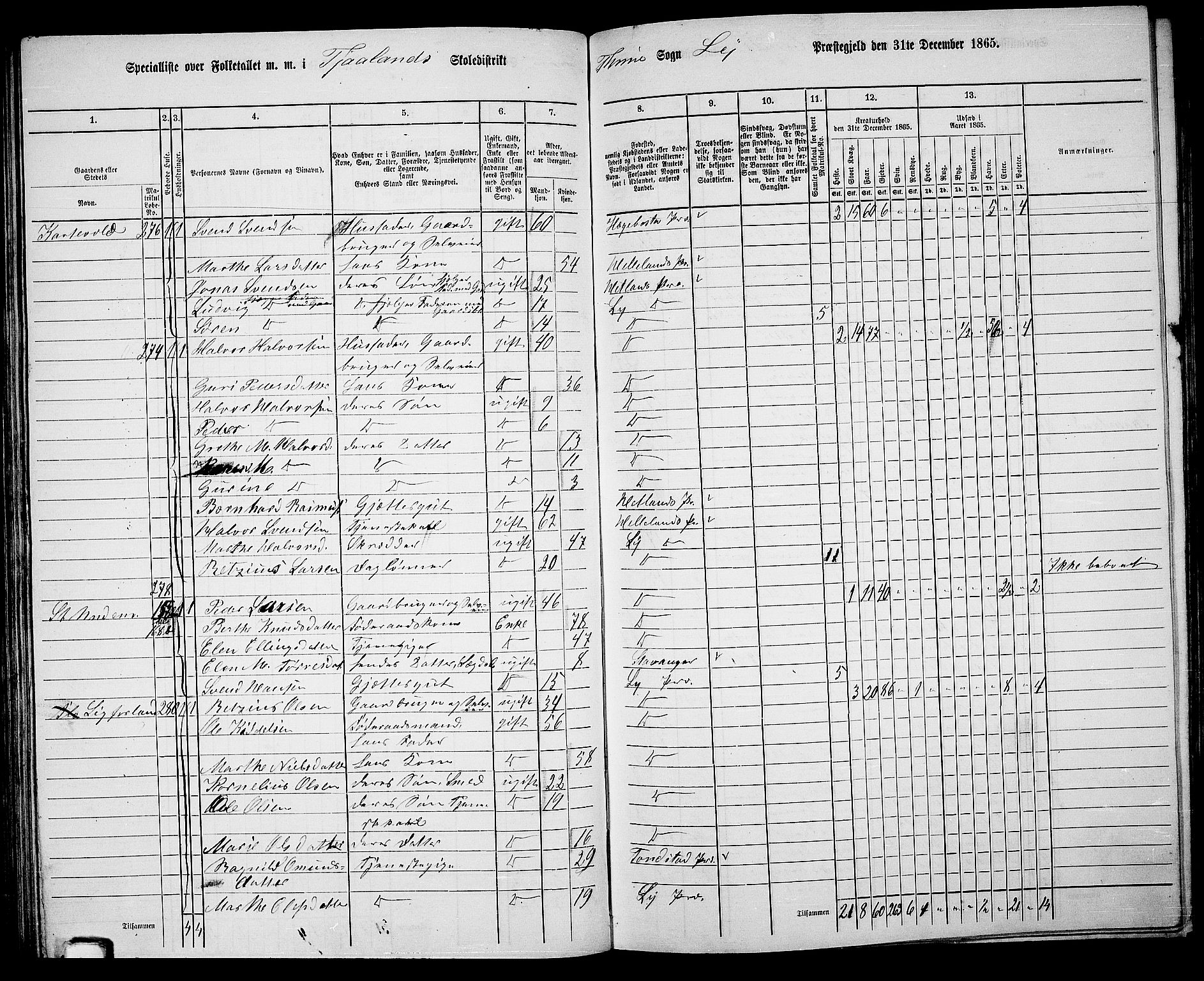 RA, 1865 census for Lye, 1865, p. 74