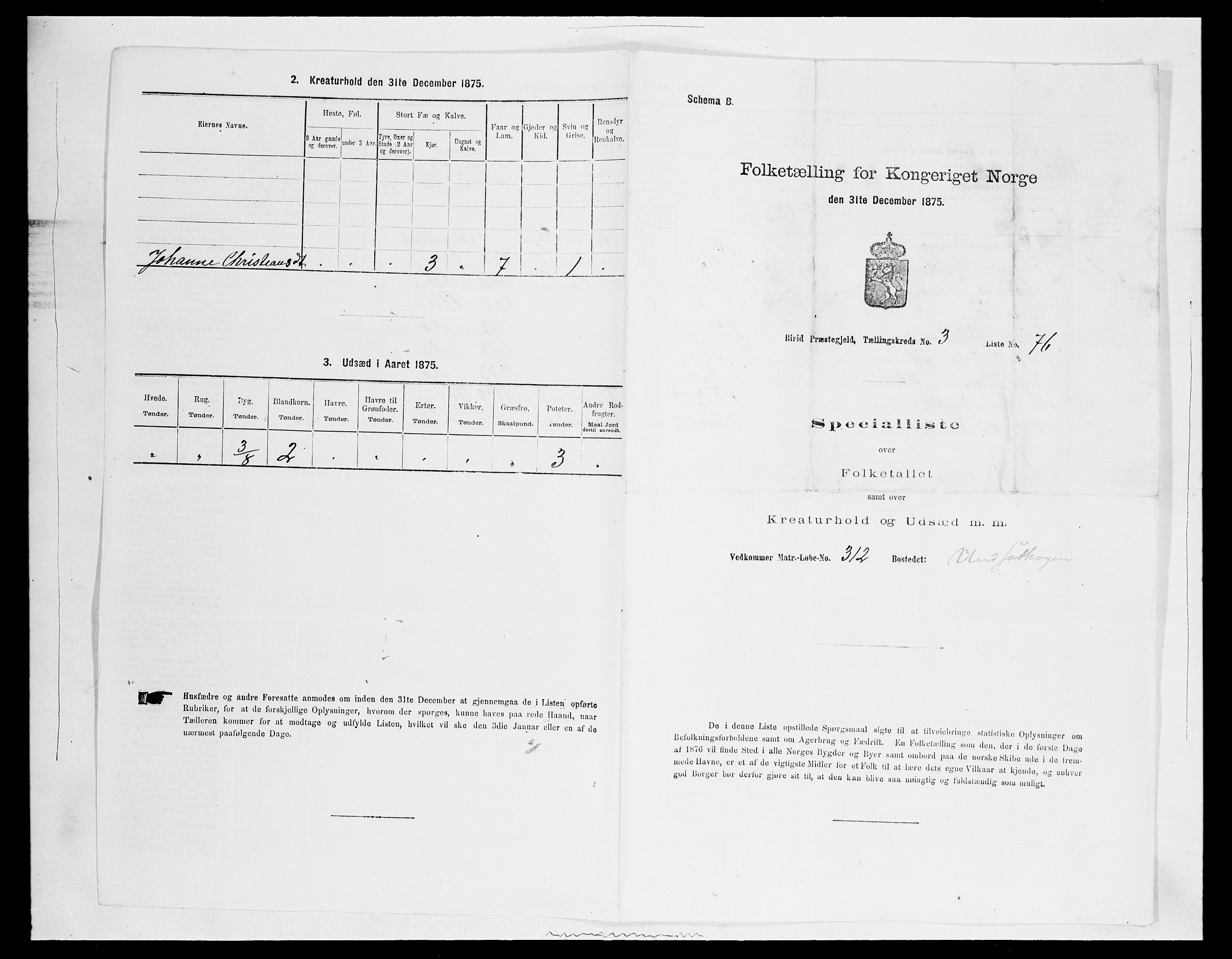 SAH, 1875 census for 0525P Biri, 1875, p. 715