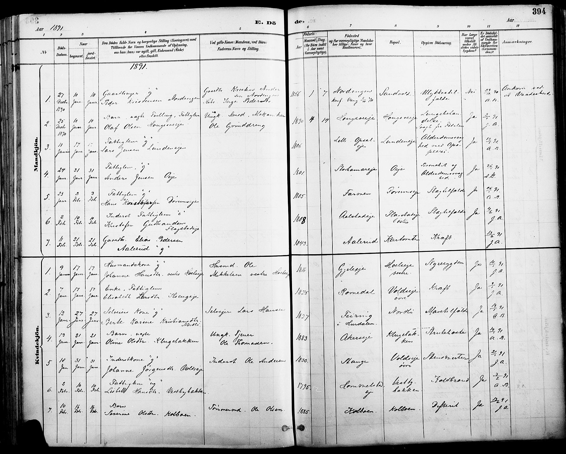 Vang prestekontor, Hedmark, SAH/PREST-008/H/Ha/Haa/L0019A: Parish register (official) no. 19, 1886-1900, p. 394