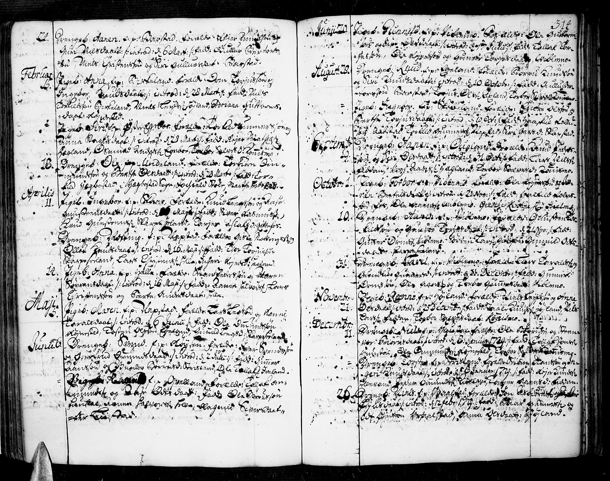 Sør-Audnedal sokneprestkontor, AV/SAK-1111-0039/F/Fa/Fab/L0001: Parish register (official) no. A 1 /4, 1726-1774, p. 314