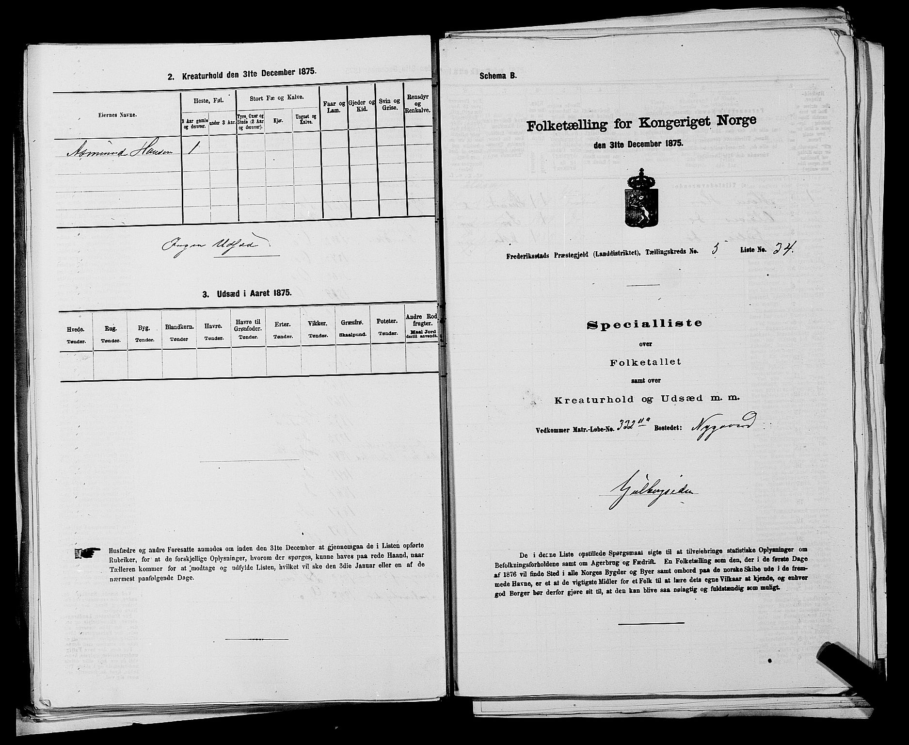 RA, 1875 census for 0132L Fredrikstad/Glemmen, 1875, p. 999