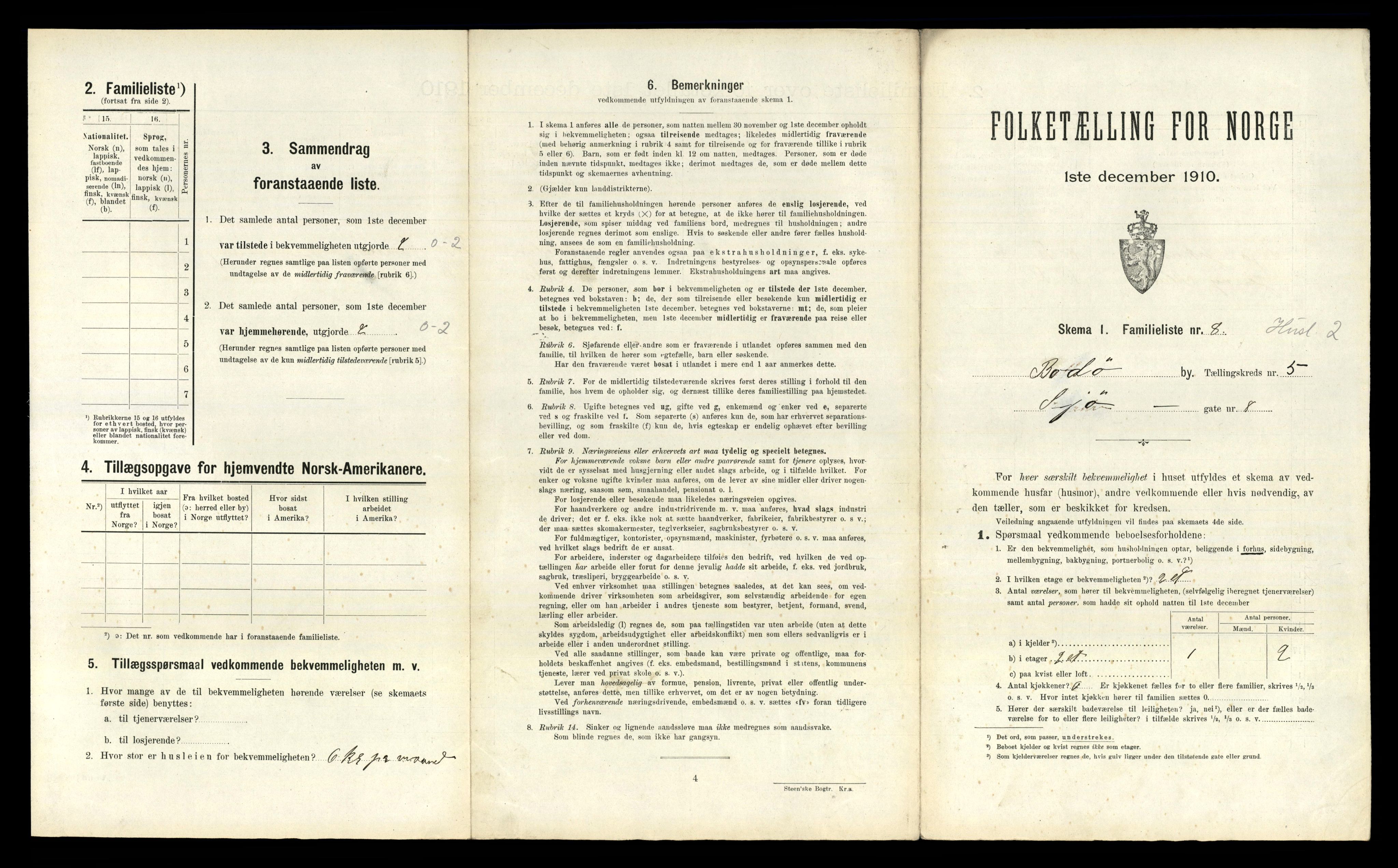 RA, 1910 census for Bodø, 1910, p. 1317