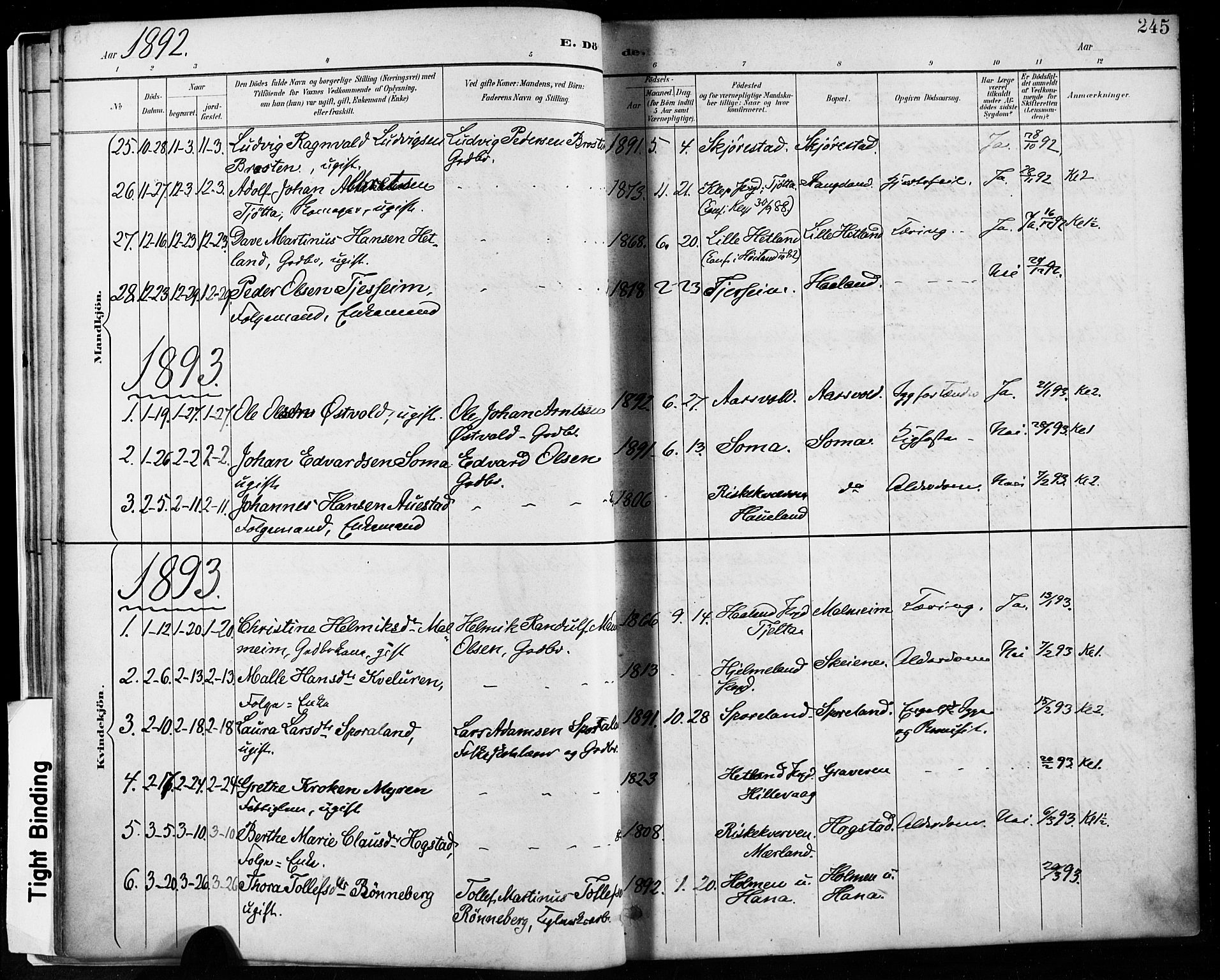 Høyland sokneprestkontor, SAST/A-101799/001/30BA/L0013: Parish register (official) no. A 13.2, 1889-1898, p. 245
