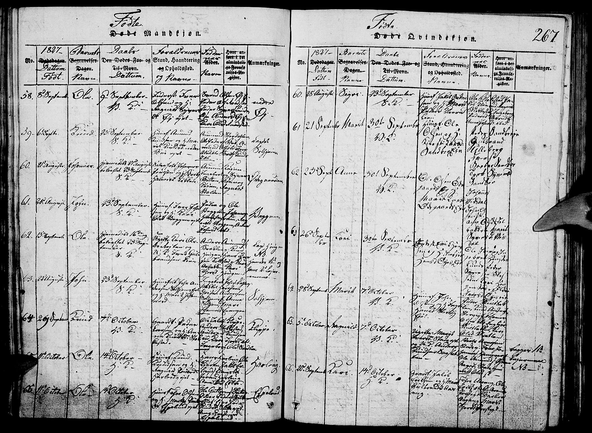 Vågå prestekontor, SAH/PREST-076/H/Ha/Hab/L0001: Parish register (copy) no. 1, 1815-1827, p. 266-267