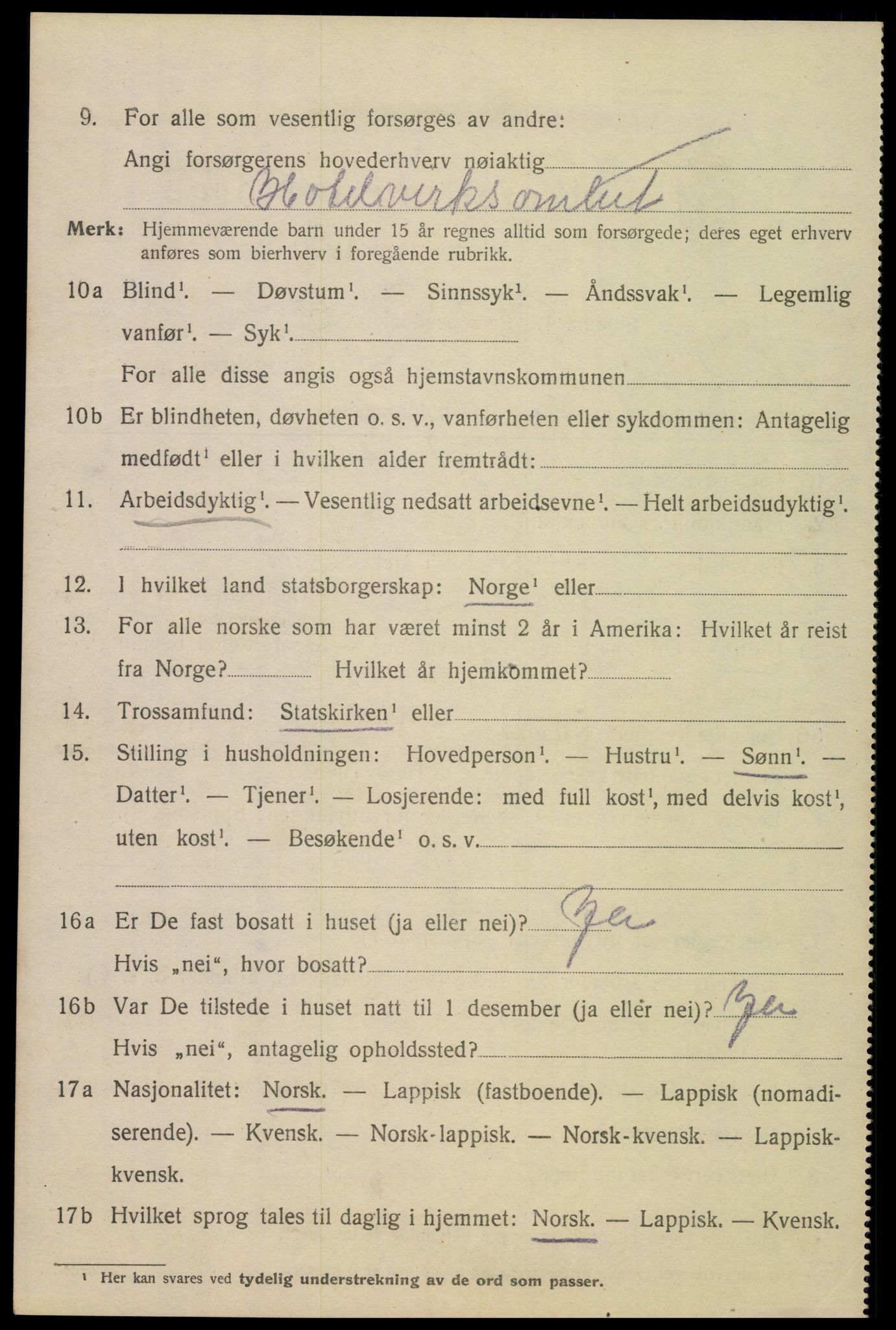 SAT, 1920 census for Bodø, 1920, p. 9294
