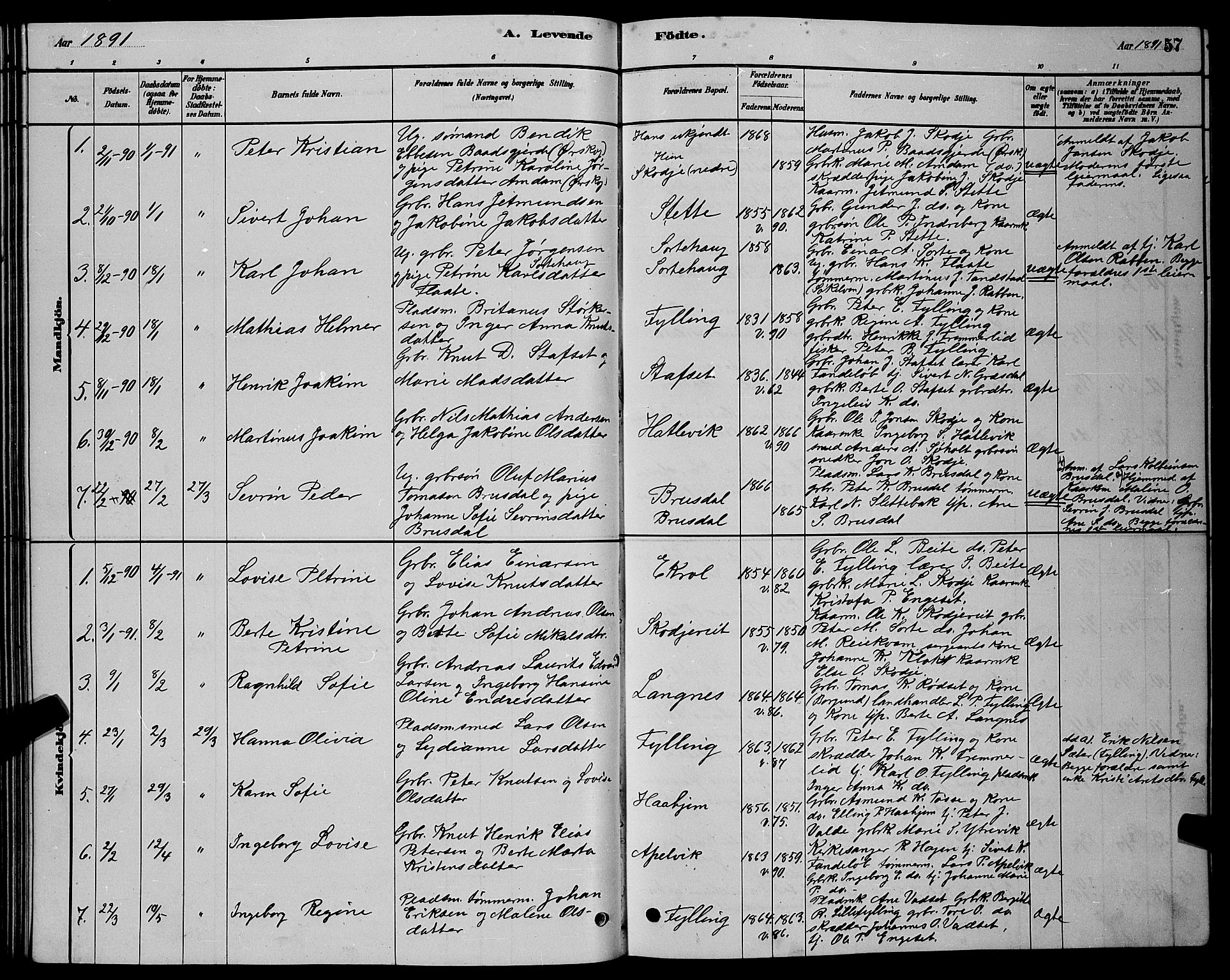 Ministerialprotokoller, klokkerbøker og fødselsregistre - Møre og Romsdal, AV/SAT-A-1454/524/L0365: Parish register (copy) no. 524C06, 1880-1899, p. 57