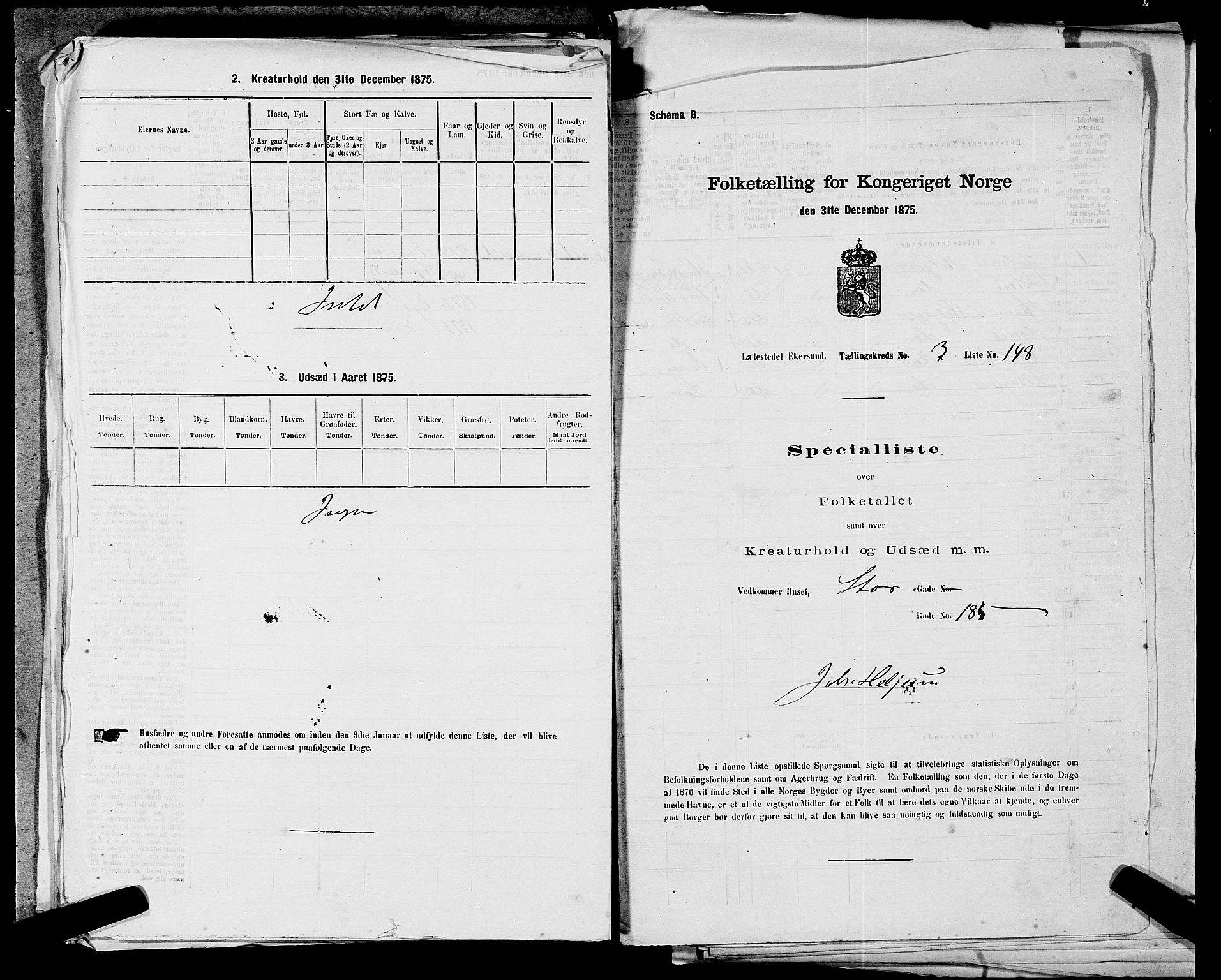 SAST, 1875 census for 1101B Eigersund parish, Egersund town, 1875, p. 313