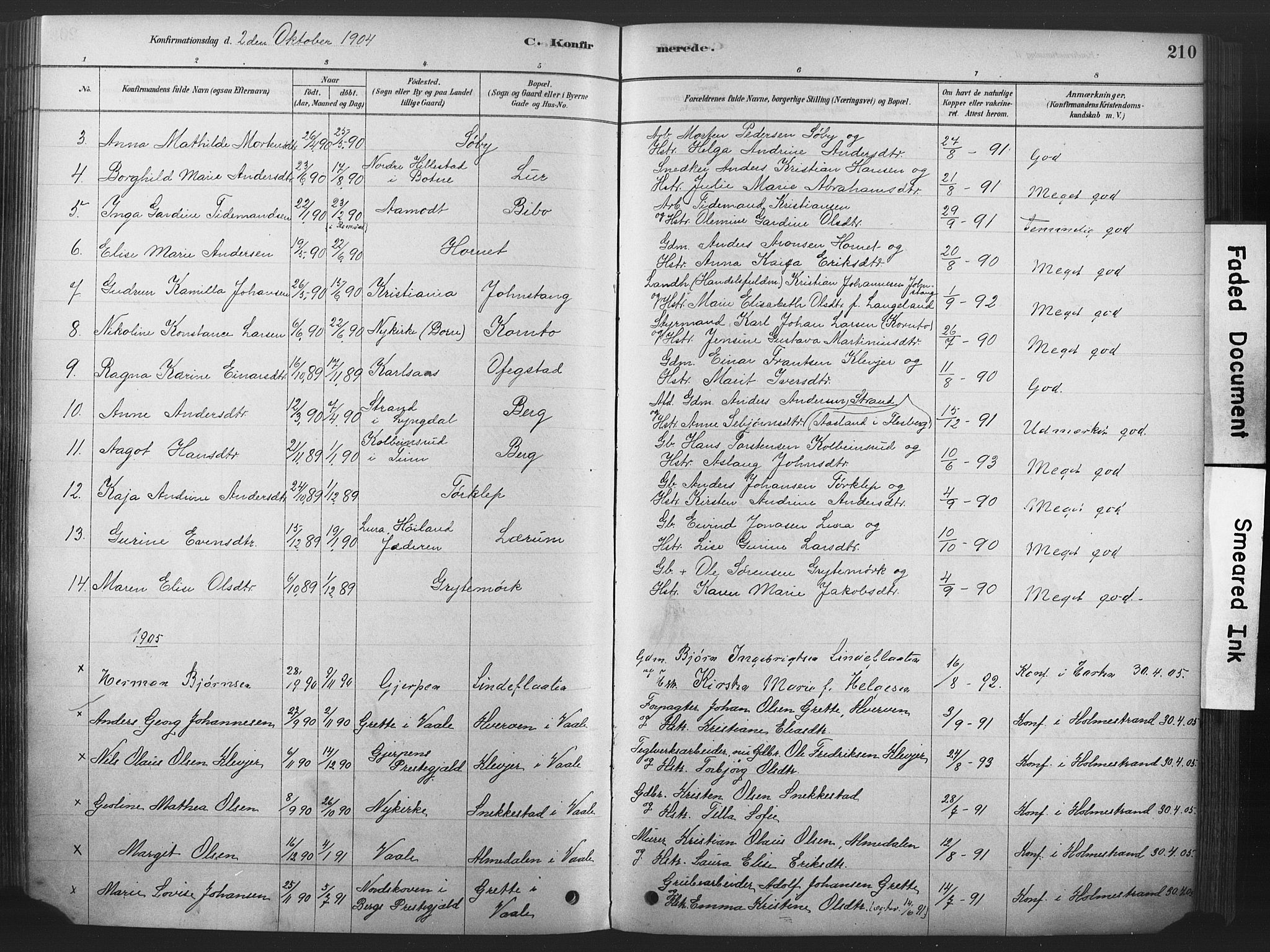 Våle kirkebøker, SAKO/A-334/F/Fa/L0011: Parish register (official) no. I 11, 1878-1906, p. 210