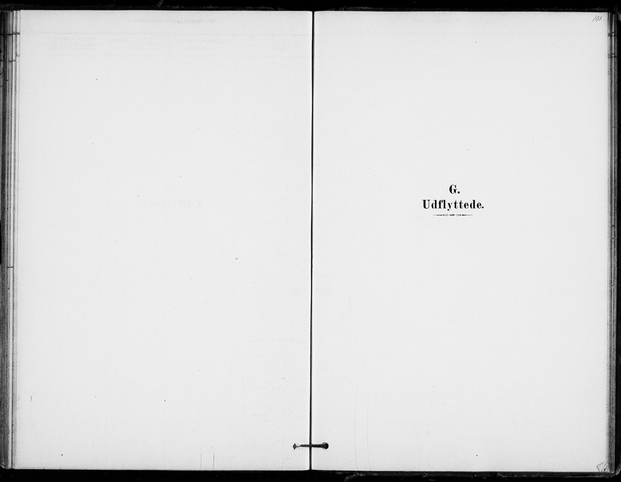 Hof kirkebøker, SAKO/A-64/F/Fb/L0001: Parish register (official) no. II 1, 1878-1907, p. 101