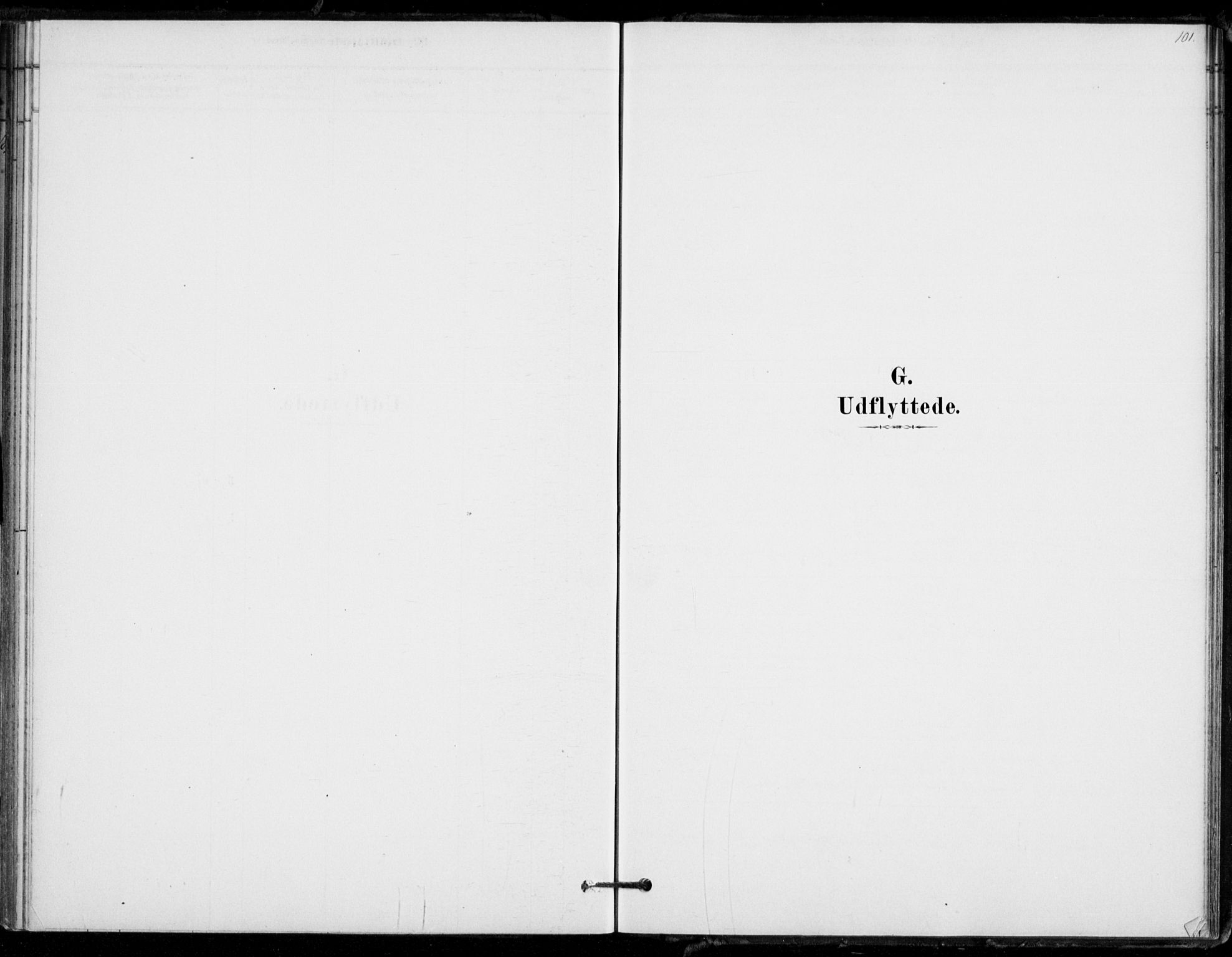 Hof kirkebøker, AV/SAKO-A-64/F/Fb/L0001: Parish register (official) no. II 1, 1878-1907, p. 101