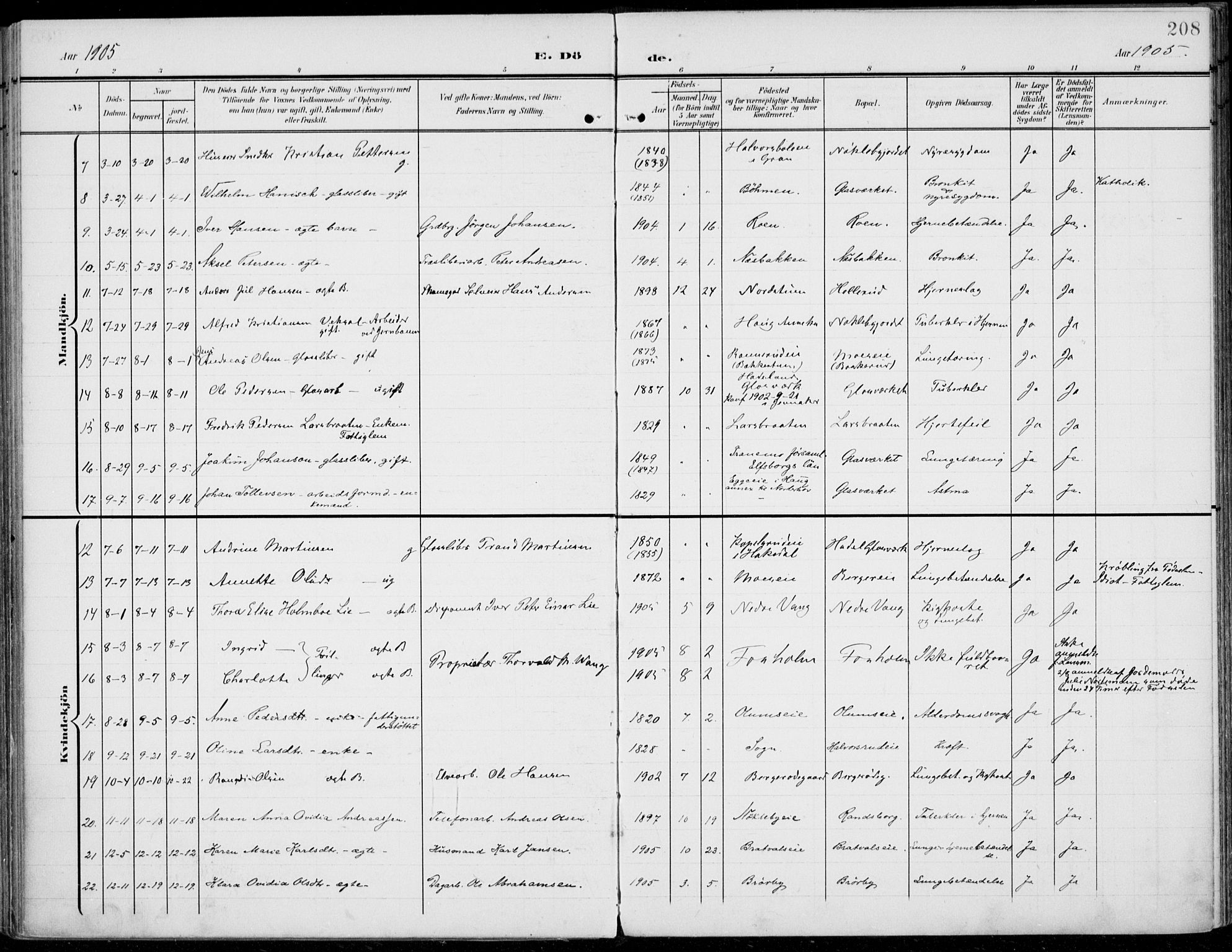 Jevnaker prestekontor, SAH/PREST-116/H/Ha/Haa/L0011: Parish register (official) no. 11, 1902-1913, p. 208