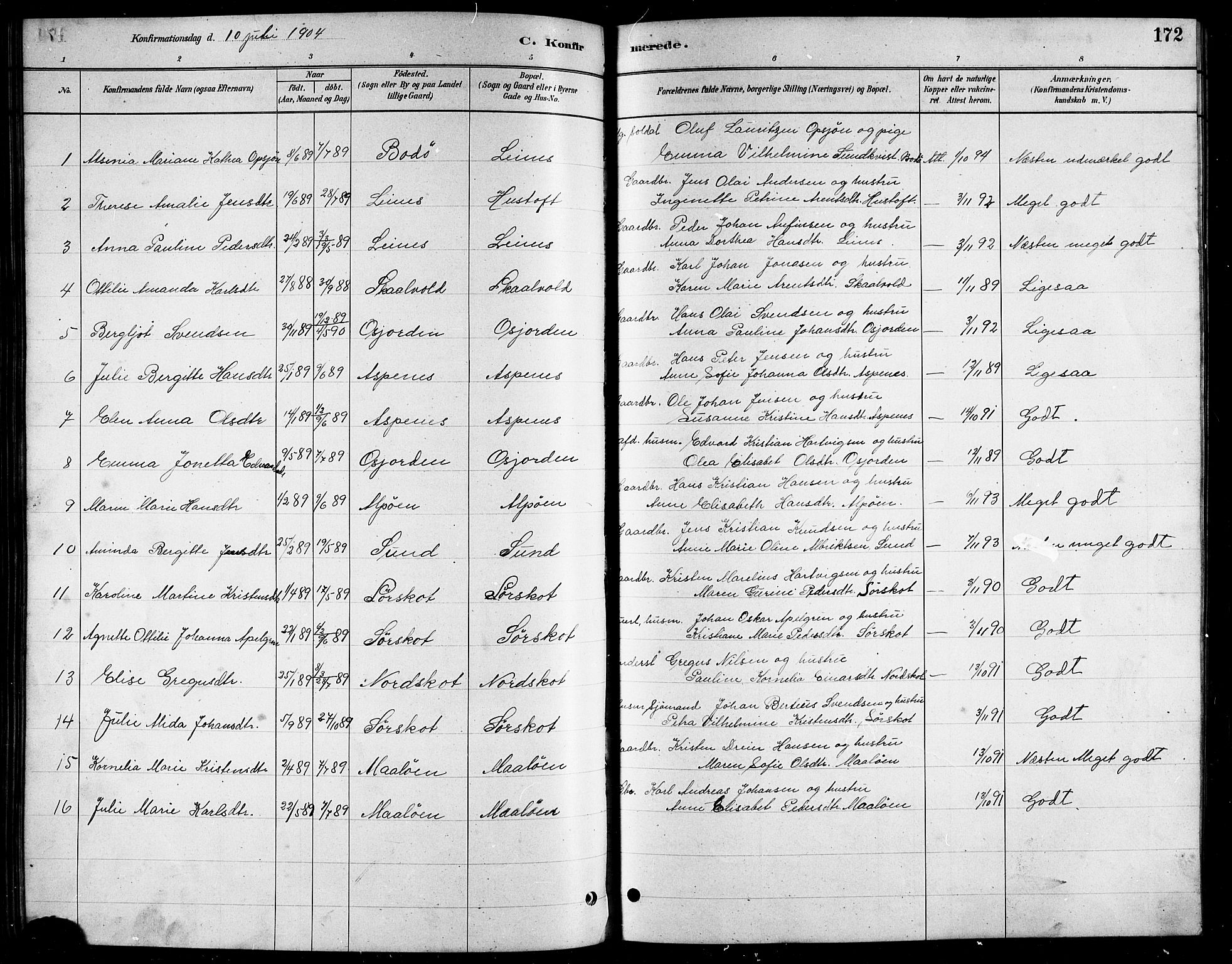Ministerialprotokoller, klokkerbøker og fødselsregistre - Nordland, AV/SAT-A-1459/857/L0828: Parish register (copy) no. 857C03, 1879-1908, p. 172