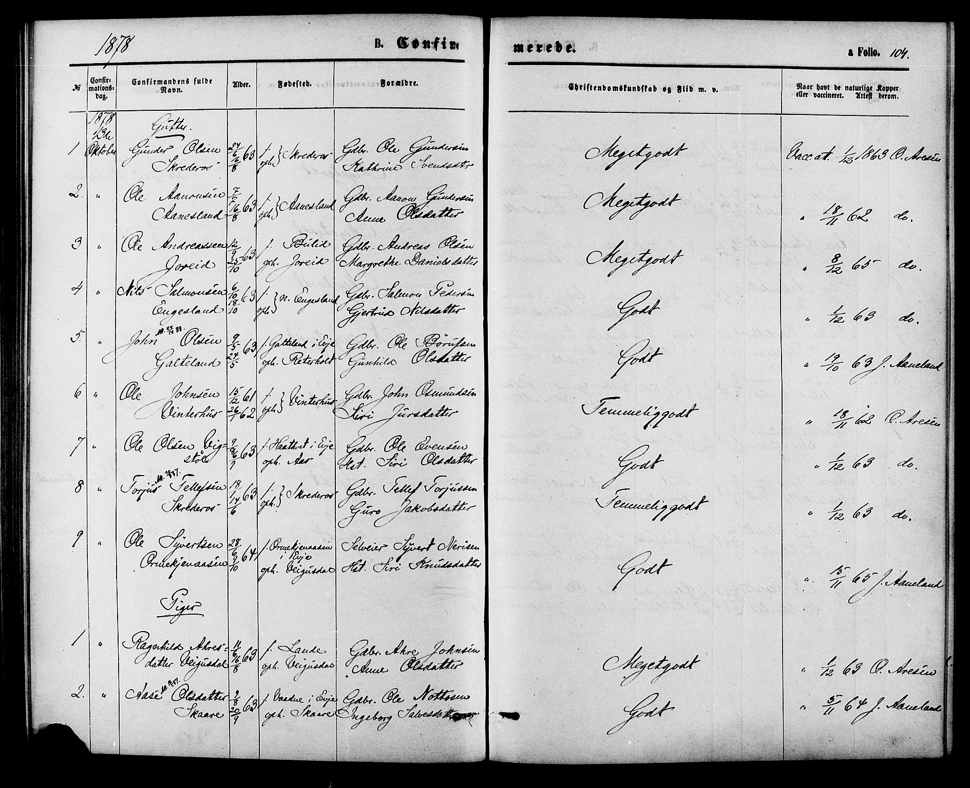 Herefoss sokneprestkontor, SAK/1111-0019/F/Fa/Fab/L0003: Parish register (official) no. A 3, 1875-1886, p. 104