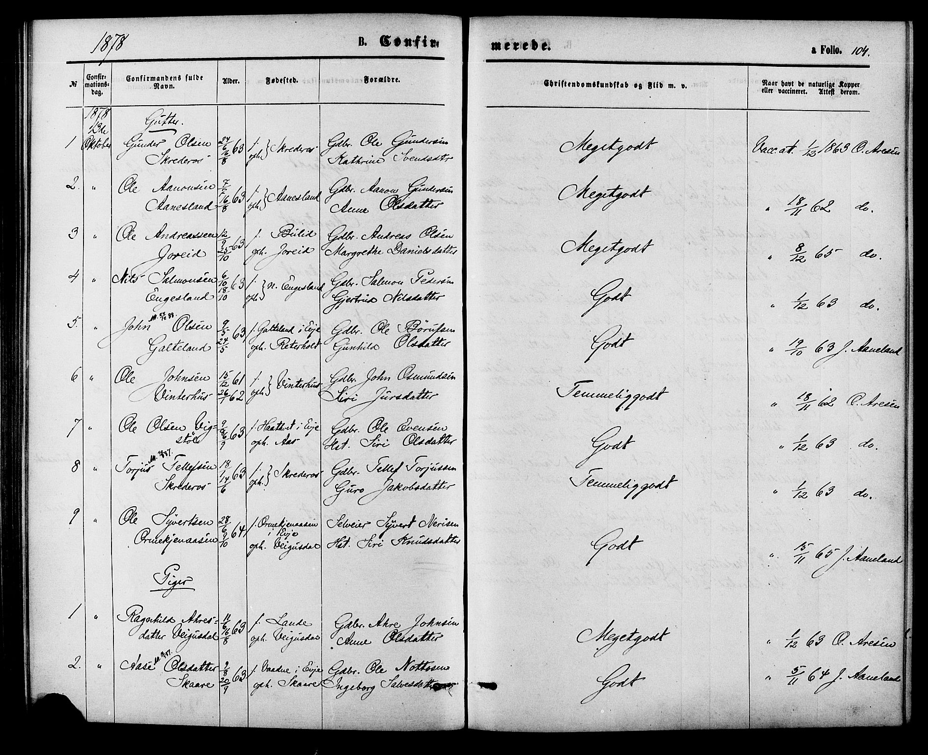 Herefoss sokneprestkontor, AV/SAK-1111-0019/F/Fa/Fab/L0003: Parish register (official) no. A 3, 1875-1886, p. 104