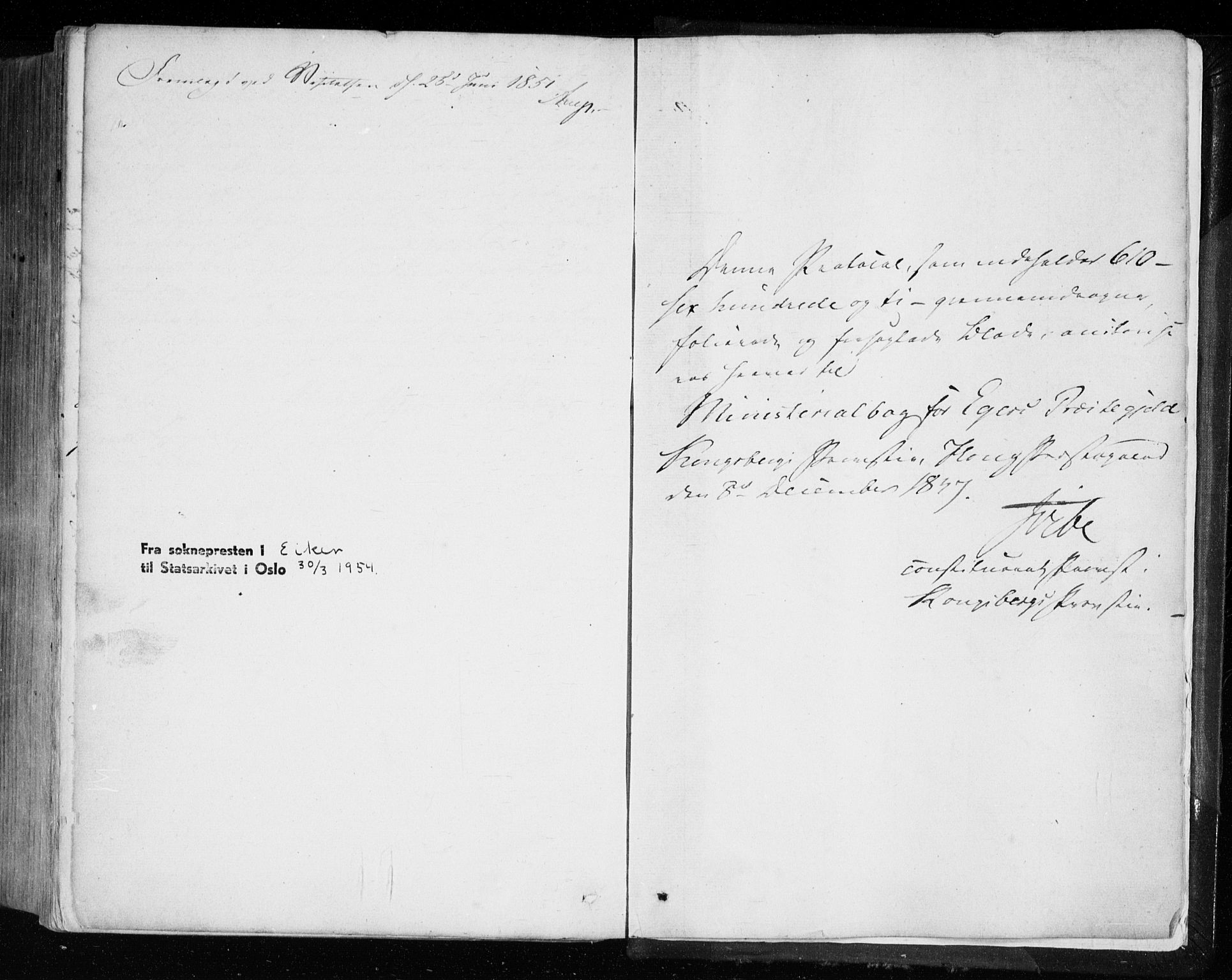 Eiker kirkebøker, AV/SAKO-A-4/F/Fa/L0014: Parish register (official) no. I 14, 1846-1854