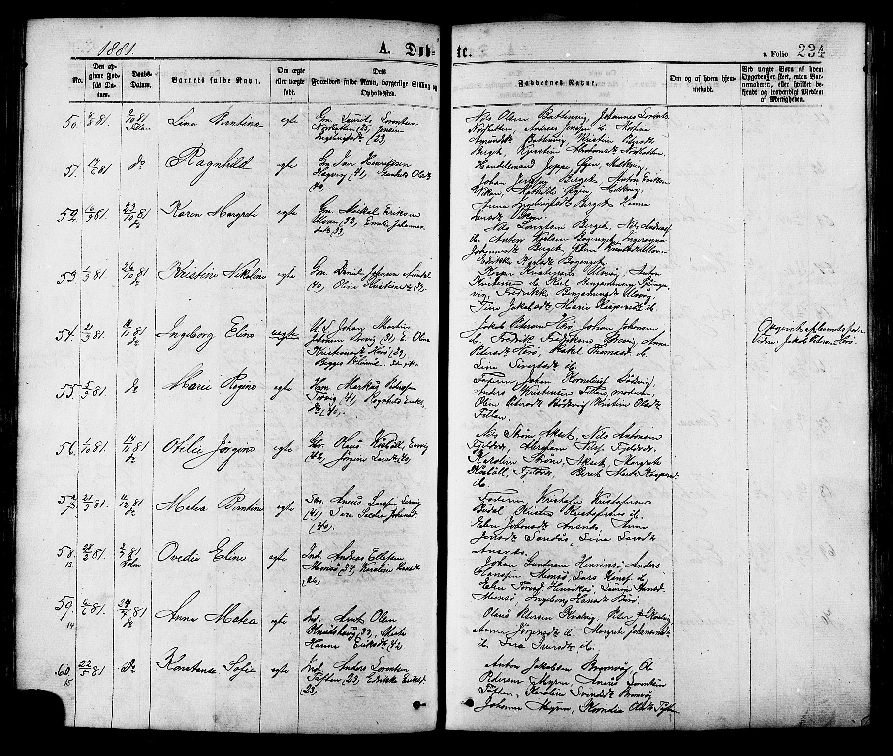 Ministerialprotokoller, klokkerbøker og fødselsregistre - Sør-Trøndelag, AV/SAT-A-1456/634/L0532: Parish register (official) no. 634A08, 1871-1881, p. 234