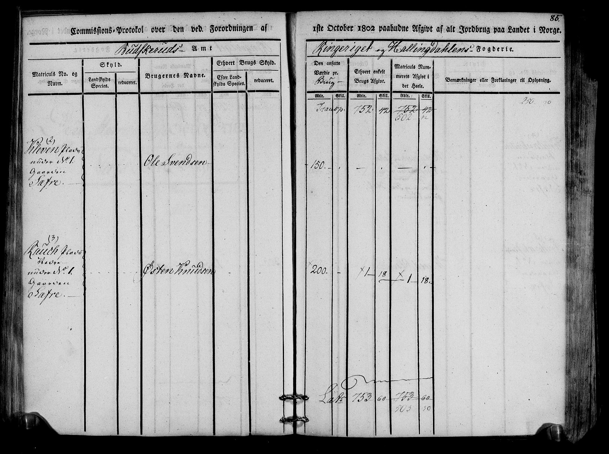 Rentekammeret inntil 1814, Realistisk ordnet avdeling, RA/EA-4070/N/Ne/Nea/L0047: Ringerike og Hallingdal fogderi. Kommisjonsprotokoll for Nes prestegjeld, 1803, p. 88