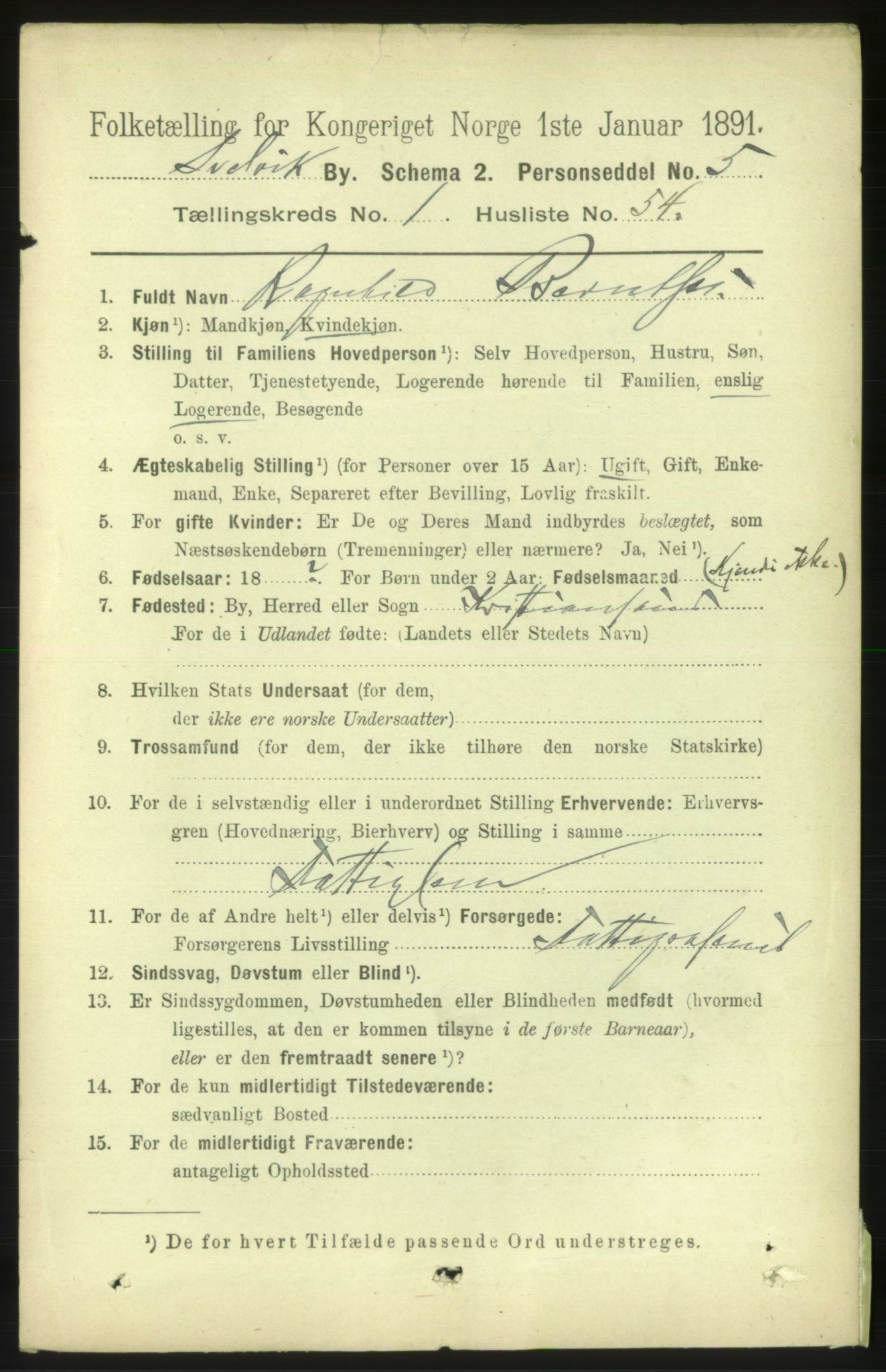 RA, 1891 census for 0701 Svelvik, 1891, p. 894