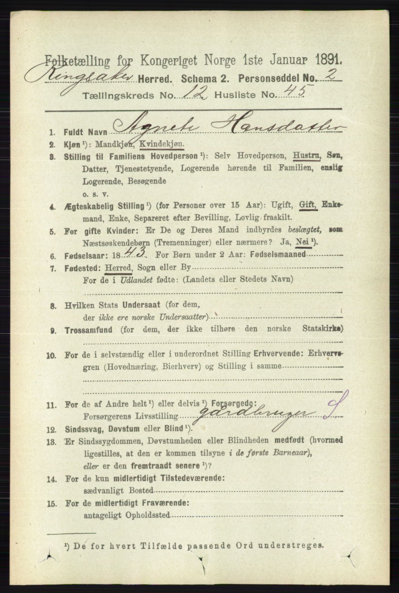 RA, 1891 census for 0412 Ringsaker, 1891, p. 7005