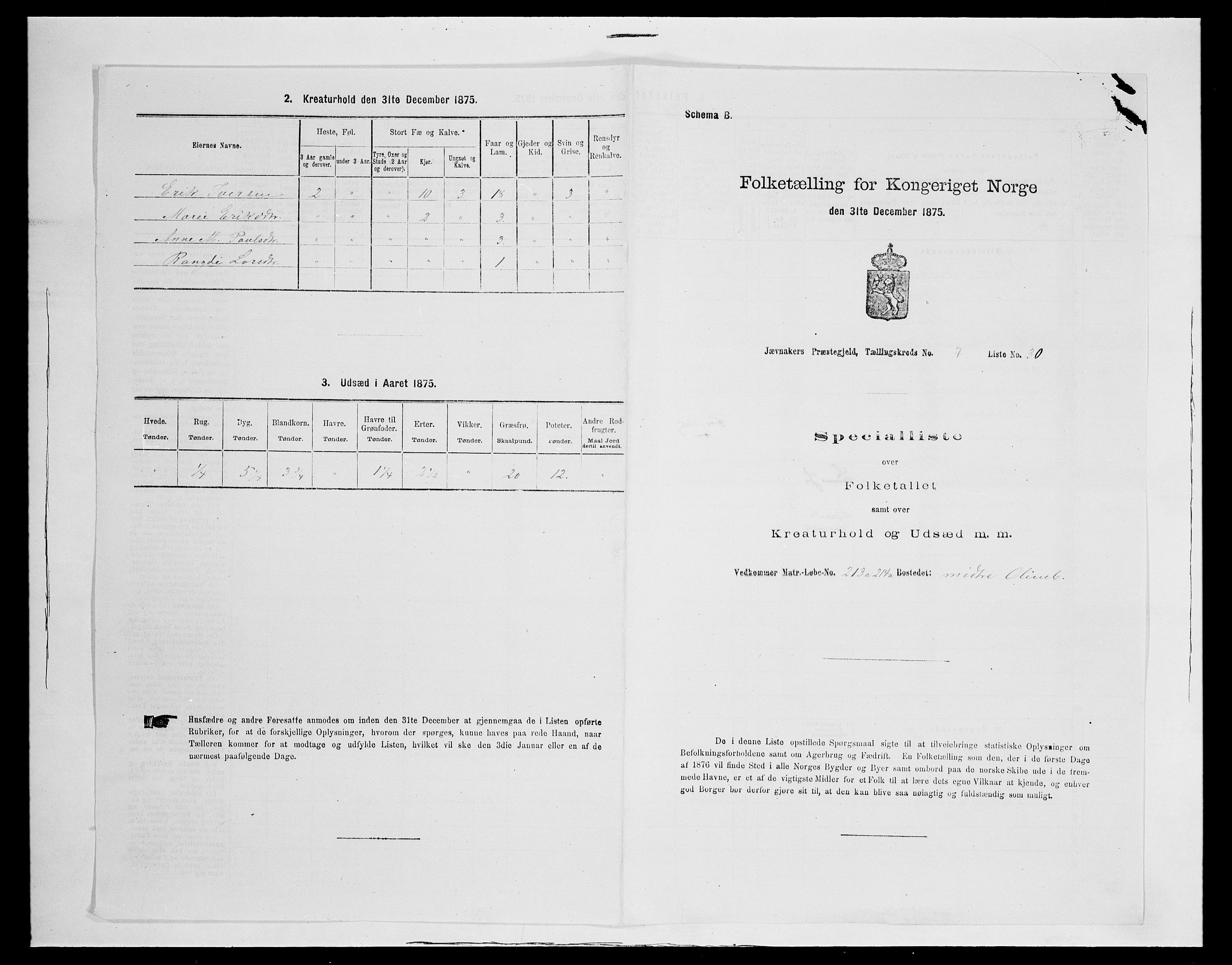 SAH, 1875 census for 0532P Jevnaker, 1875, p. 1216