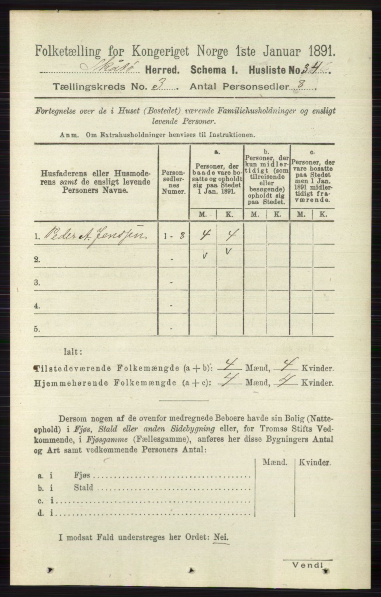 RA, 1891 census for 0815 Skåtøy, 1891, p. 607