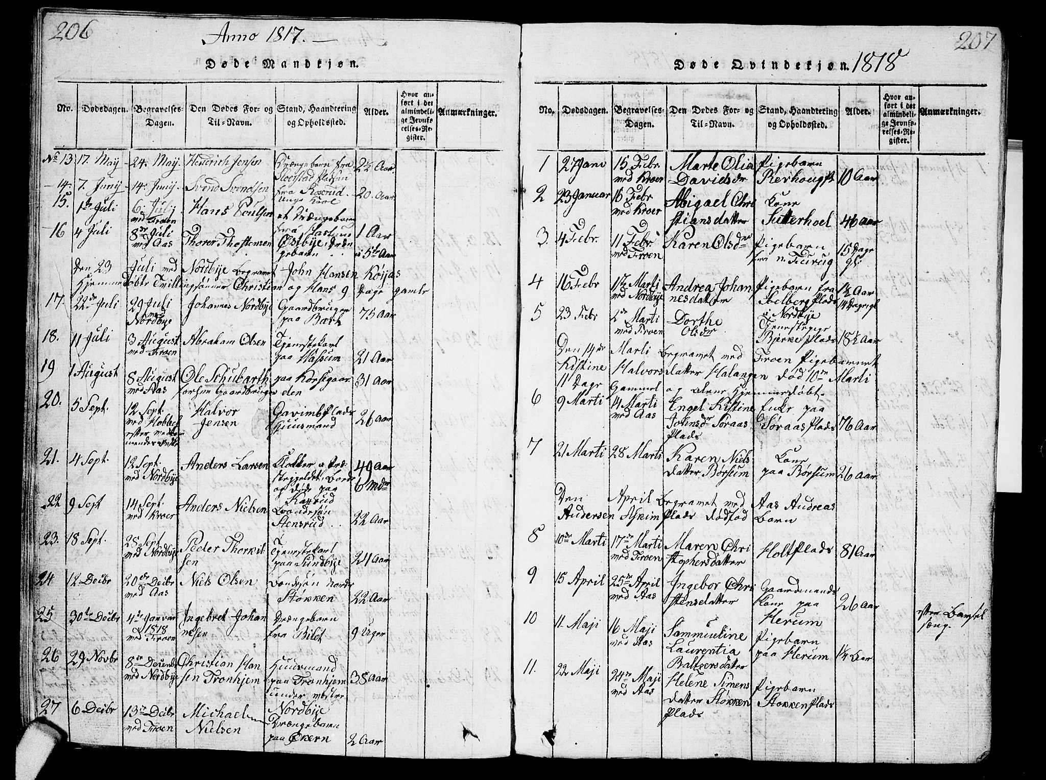 Ås prestekontor Kirkebøker, AV/SAO-A-10894/G/Ga/L0001: Parish register (copy) no. I 1, 1814-1820, p. 206-207