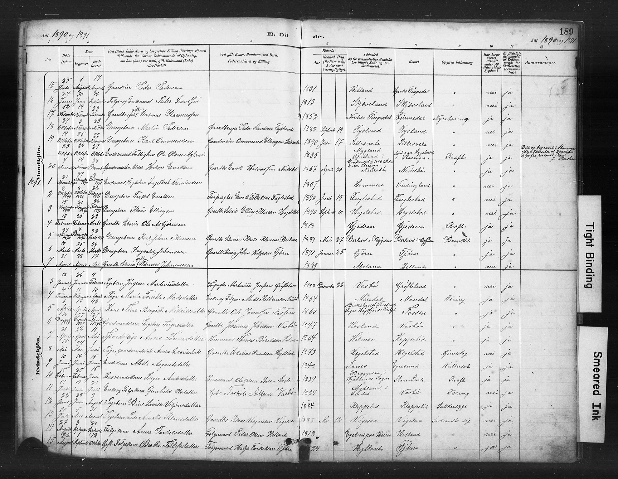 Helleland sokneprestkontor, AV/SAST-A-101810: Parish register (copy) no. B 5, 1887-1908, p. 189